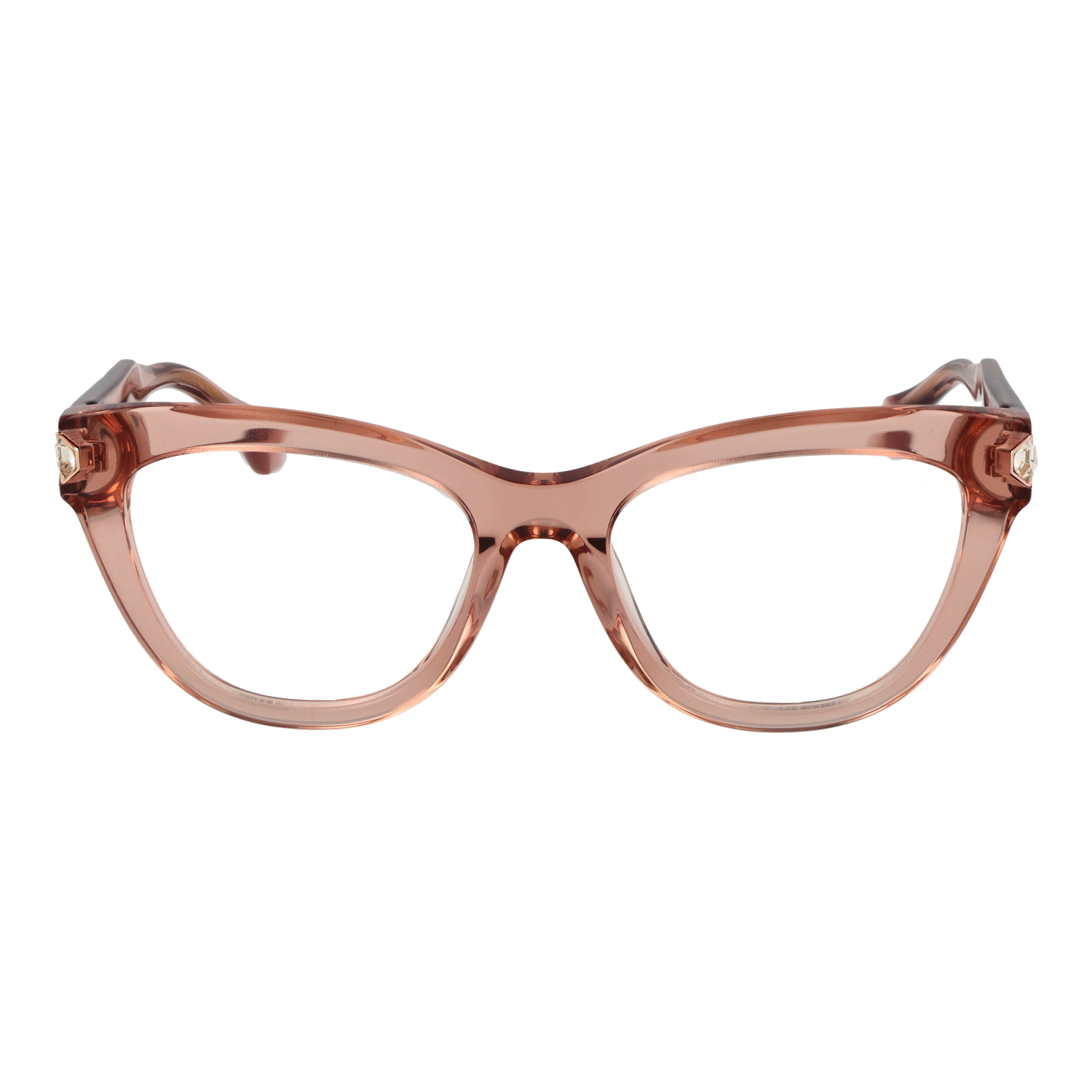 Ana Hickmann Optical Frame AH6503 T02 51