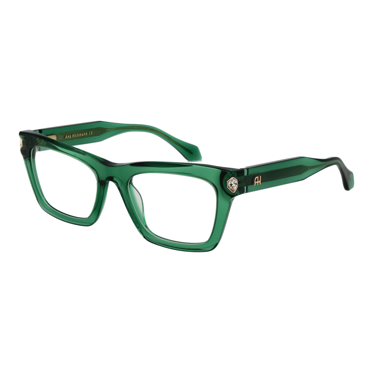 Ana Hickmann Optical Frame AH6504 T01 52