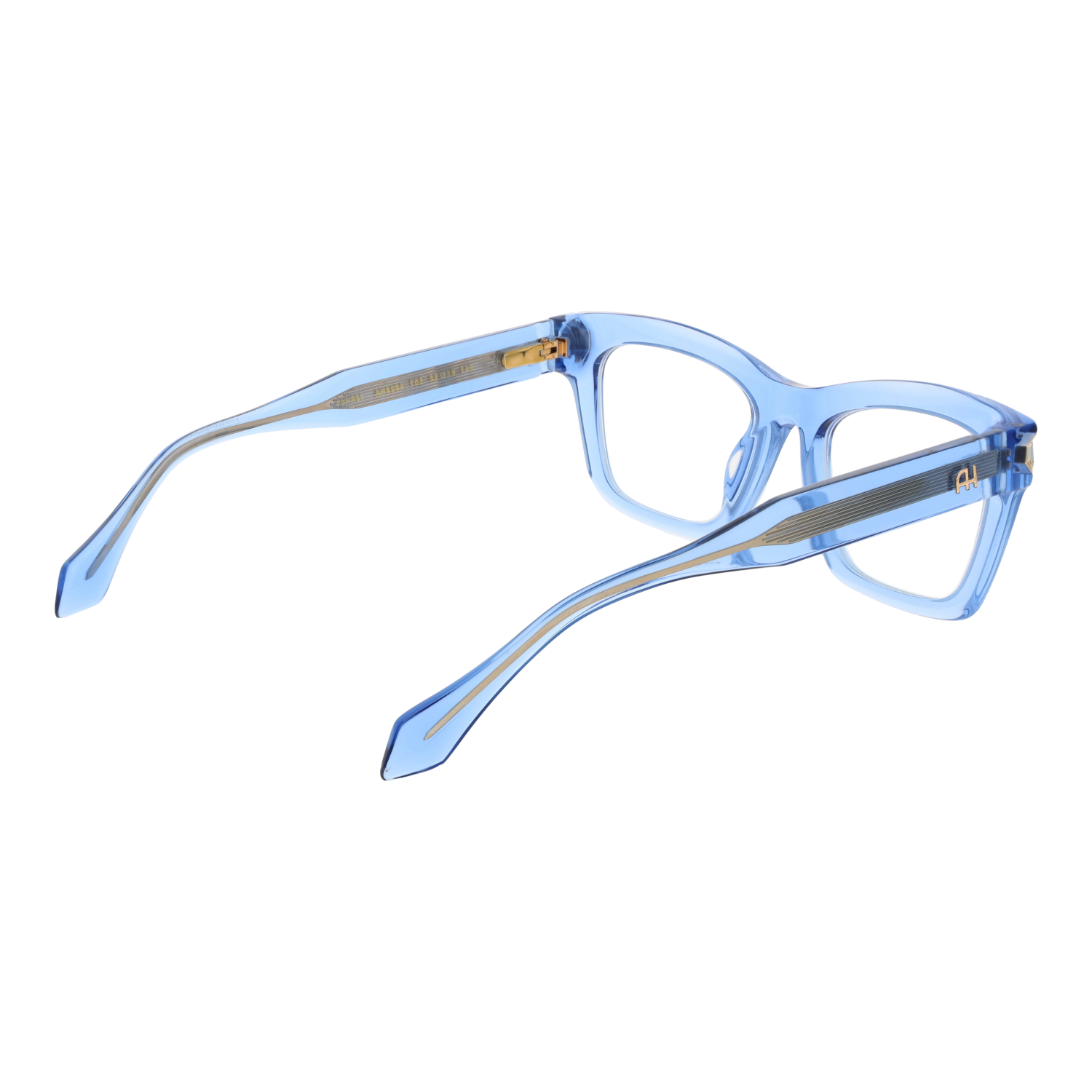 Ana Hickmann Optical Frame AH6504 T02 52