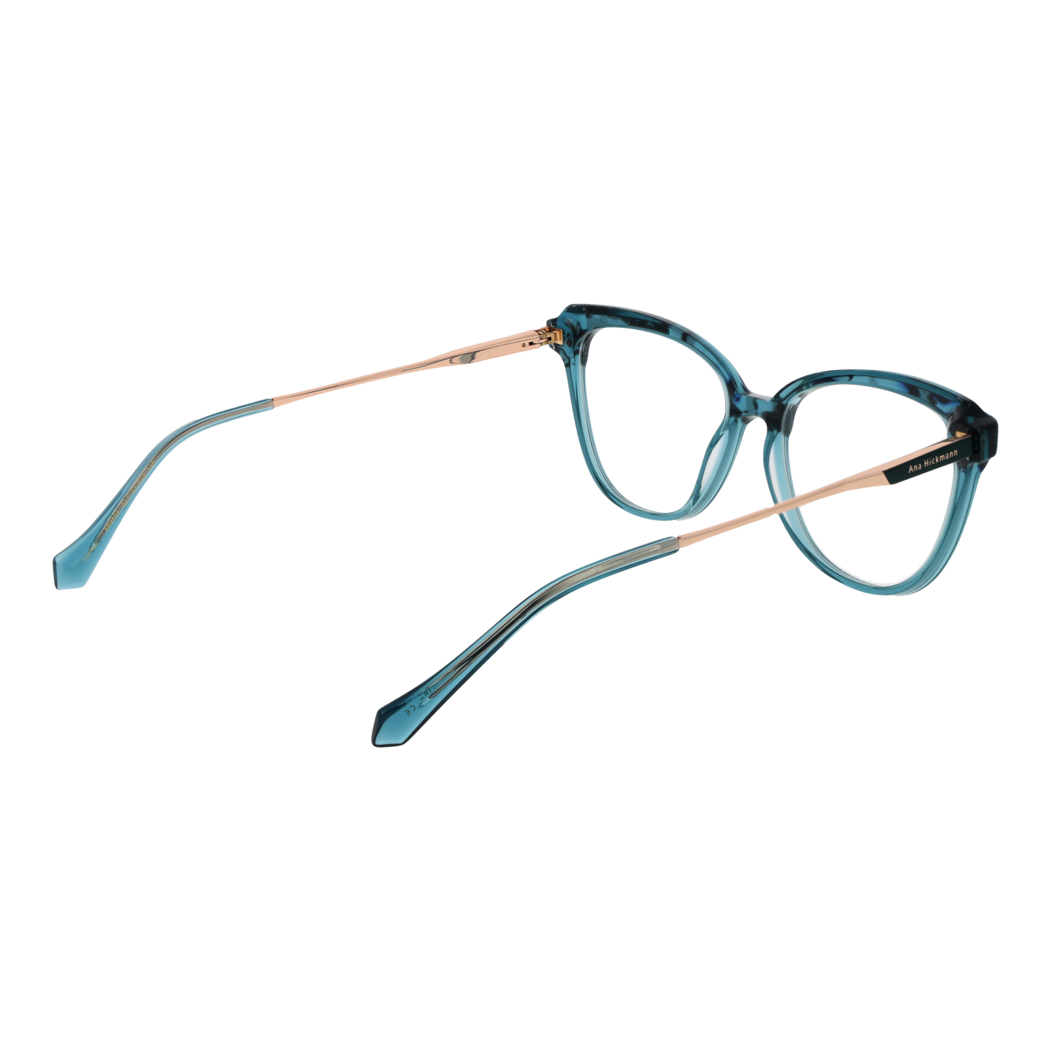 Ana Hickmann Optical Frame AH6506 G21 54