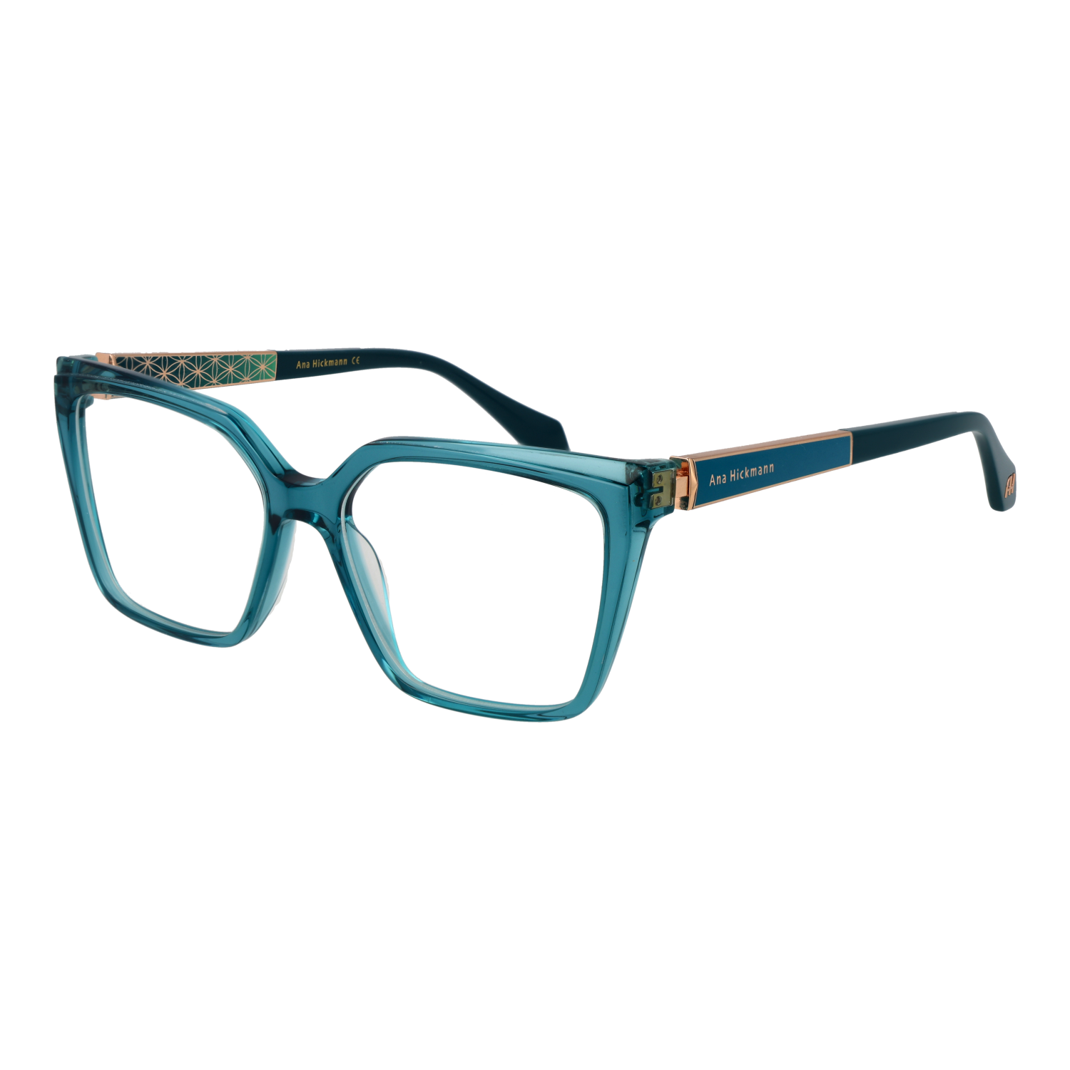 Ana Hickmann Optical Frame AH6508 T01 53