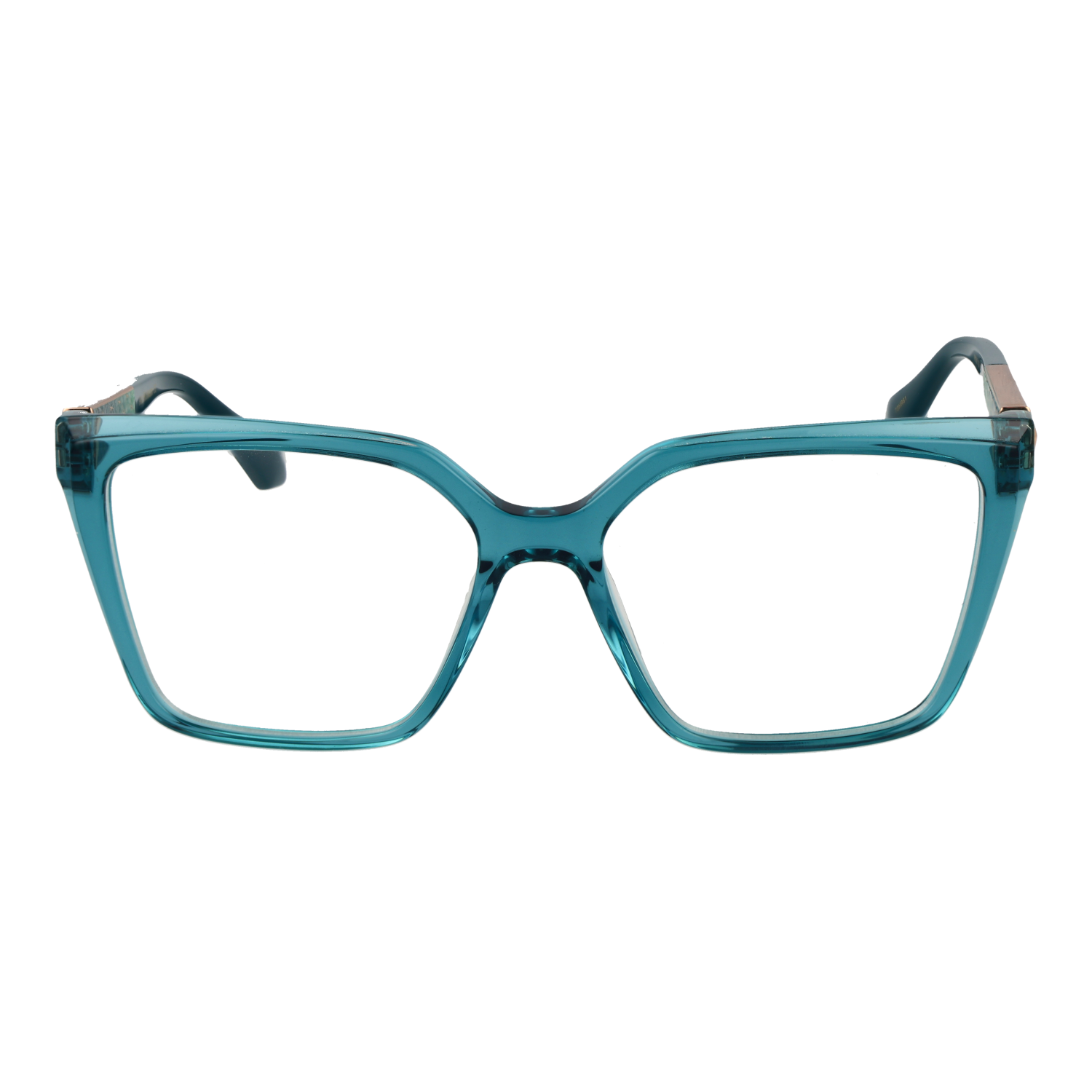Ana Hickmann Optical Frame AH6508 T01 53