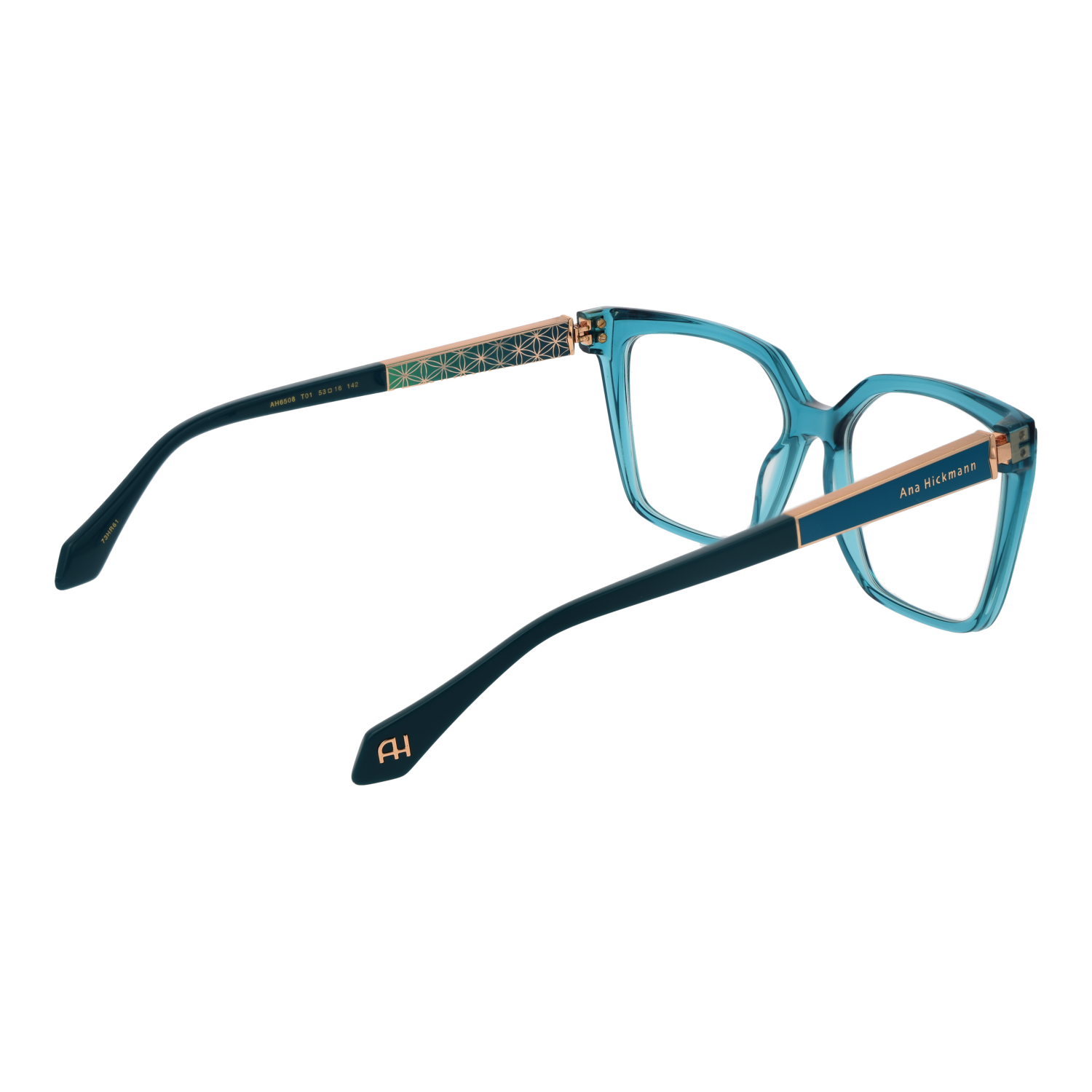 Ana Hickmann Optical Frame AH6508 T01 53