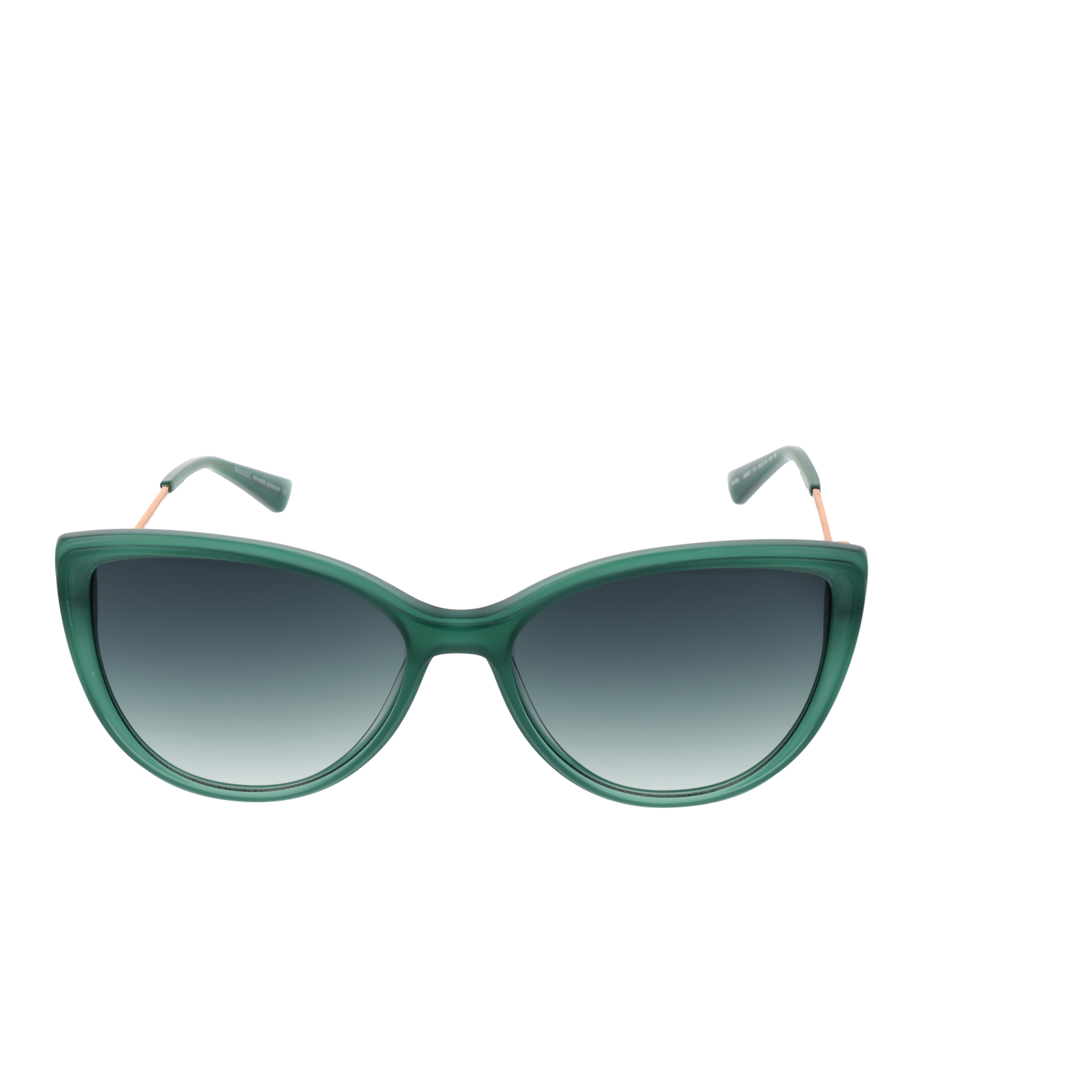 Lunettes de soleil Bulget BG9221 T01 56