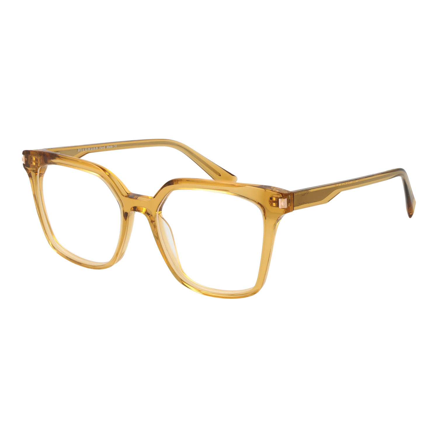 Ana Hickmann Optical Frame HI6271 T01 52