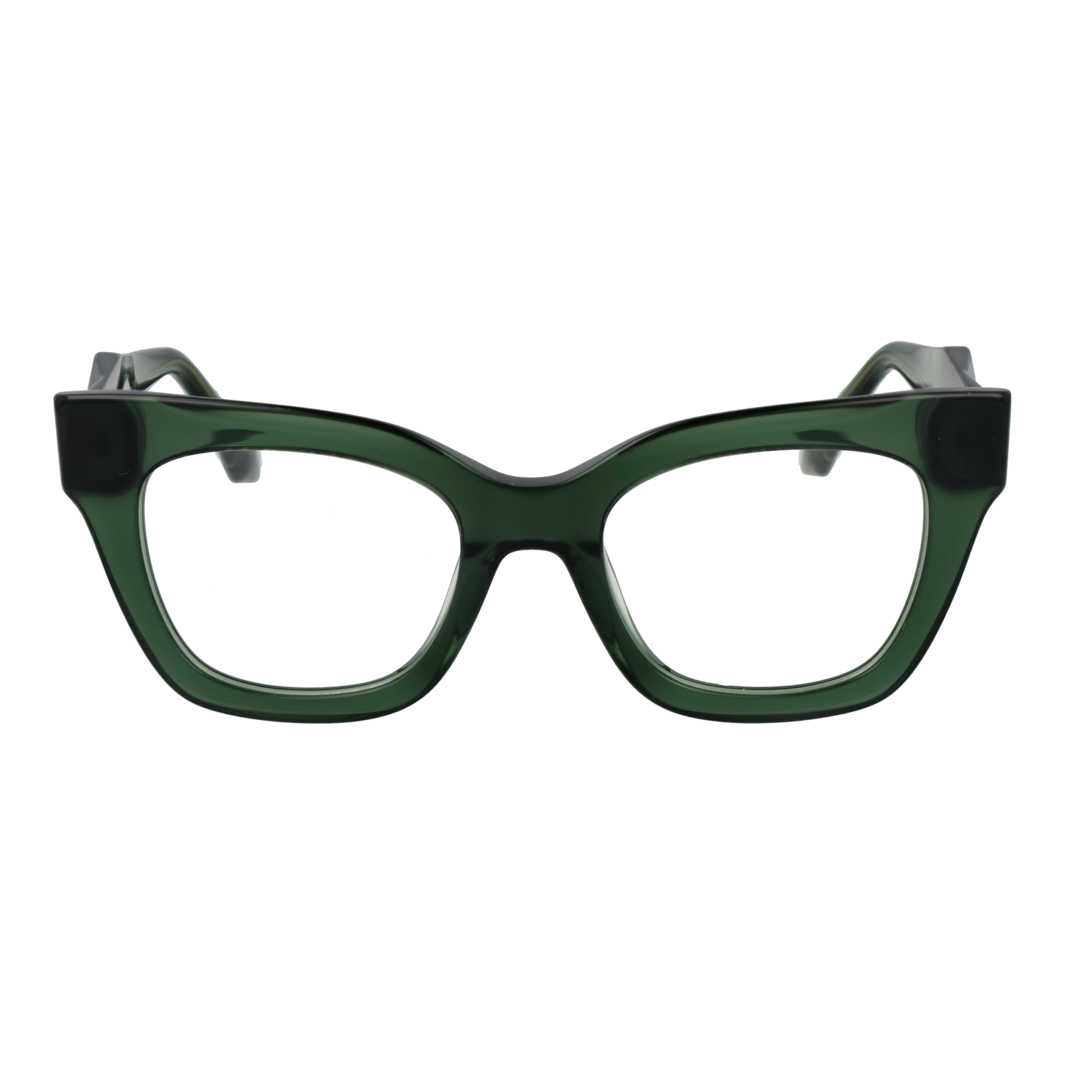 Ana Hickmann Optical Frame AH6523 T01 50