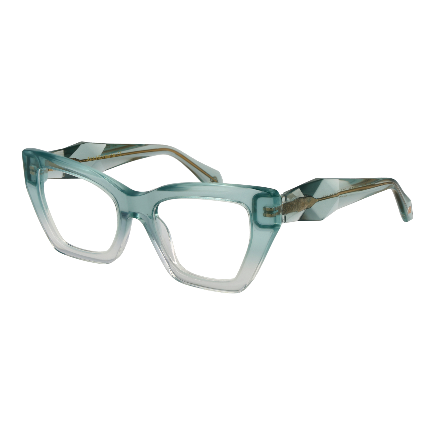 Ana Hickmann Optical Frame AH6525 C01 51