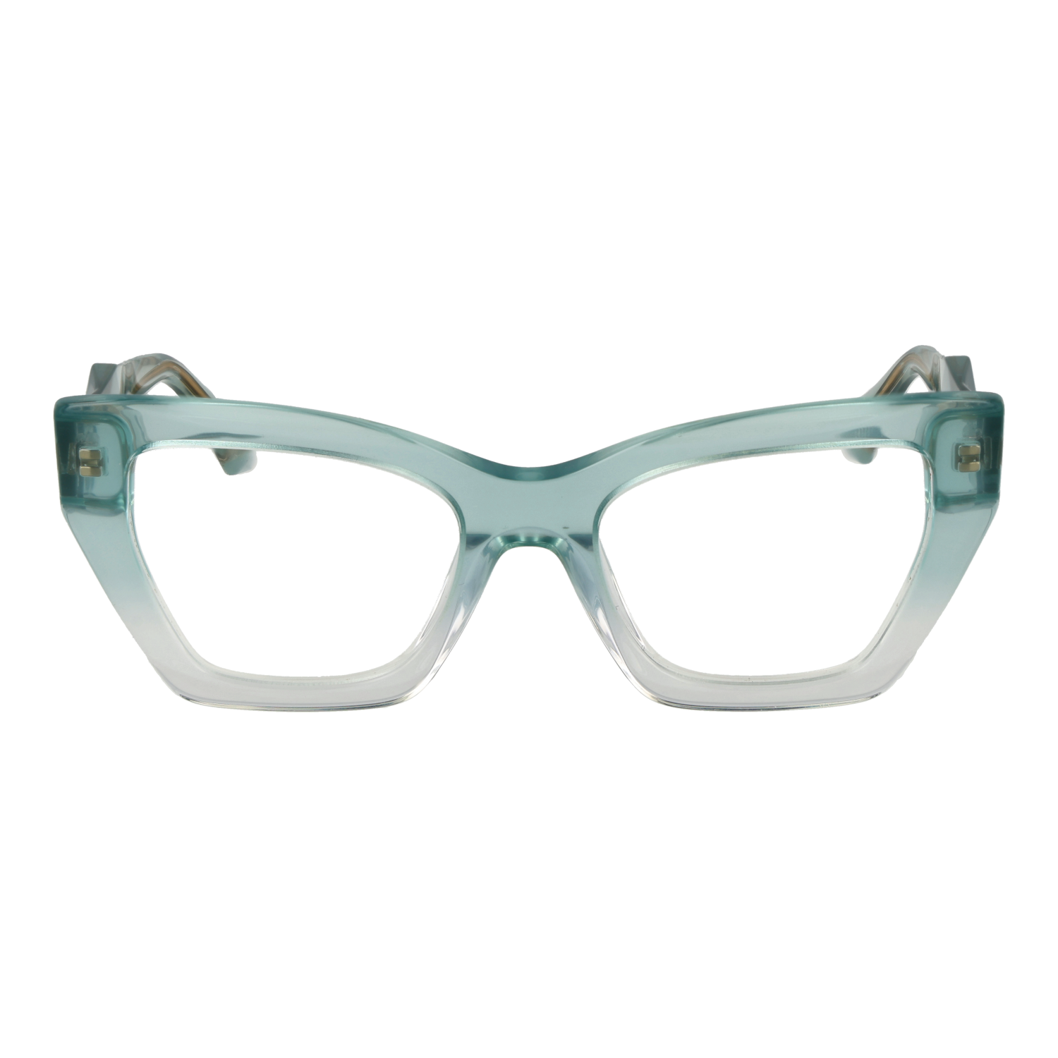 Ana Hickmann Optical Frame AH6525 C01 51