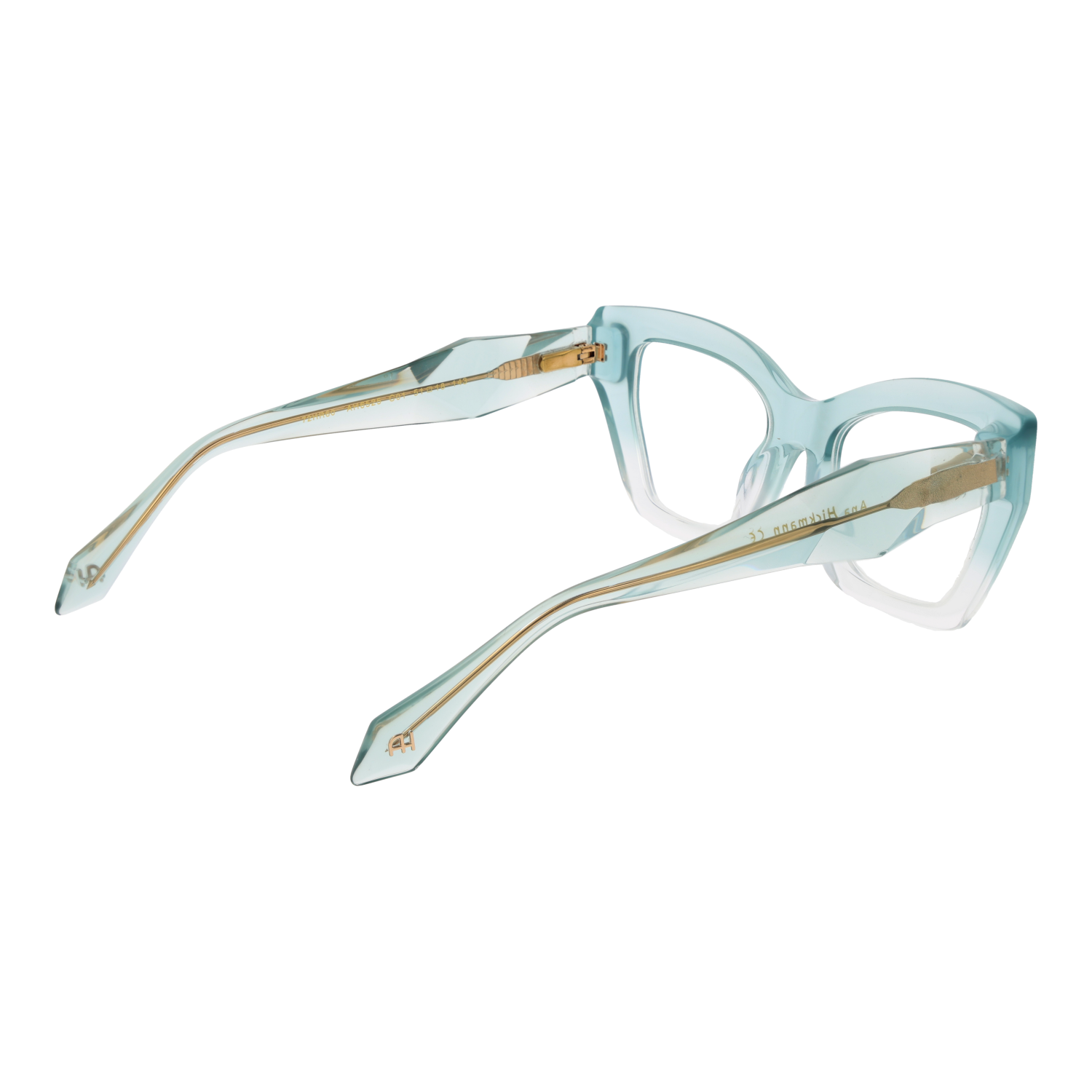 Ana Hickmann Optical Frame AH6525 C01 51
