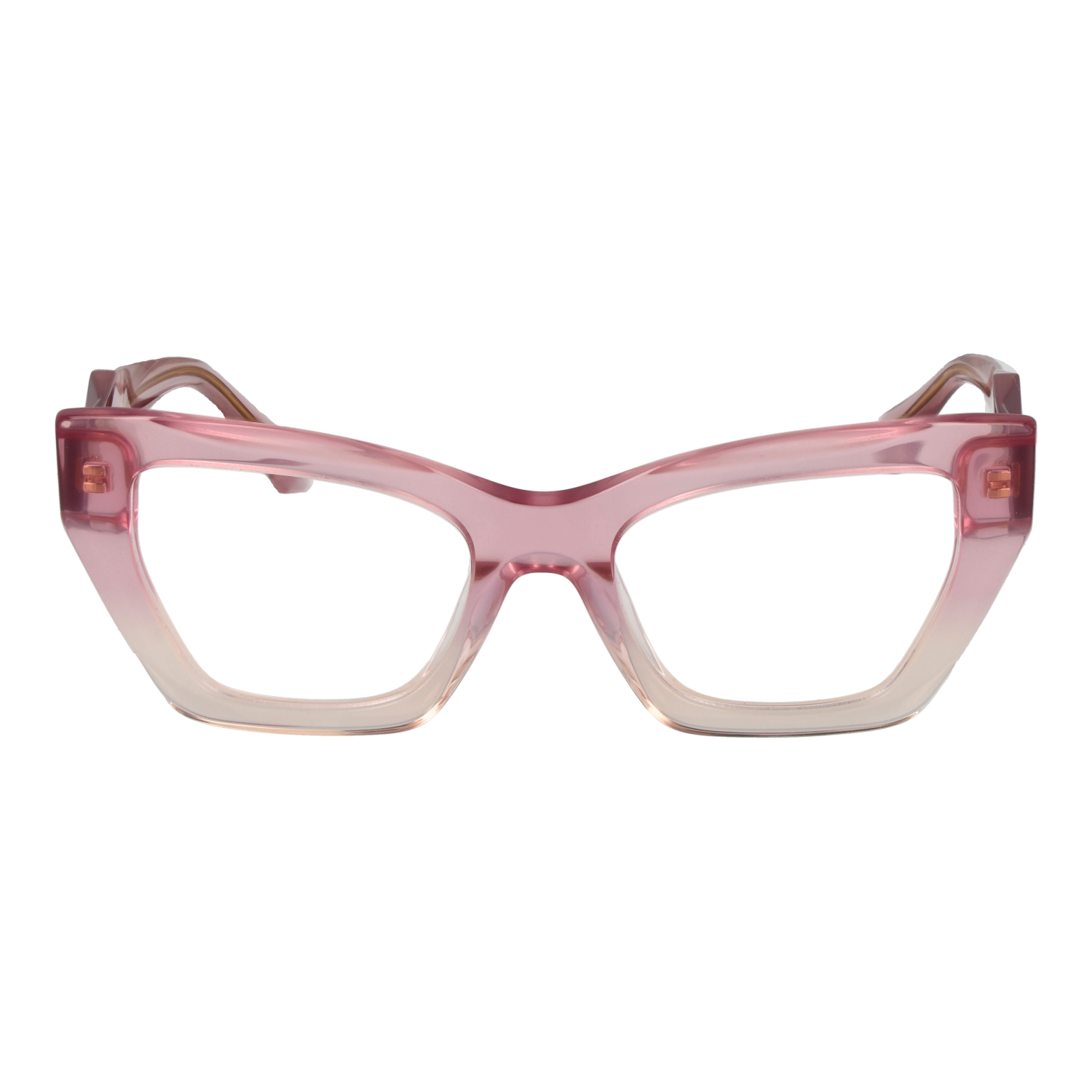 Ana Hickmann Optical Frame AH6525 C02 51