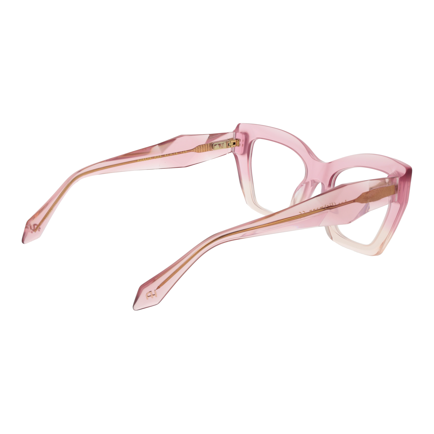 Ana Hickmann Optical Frame AH6525 C02 51