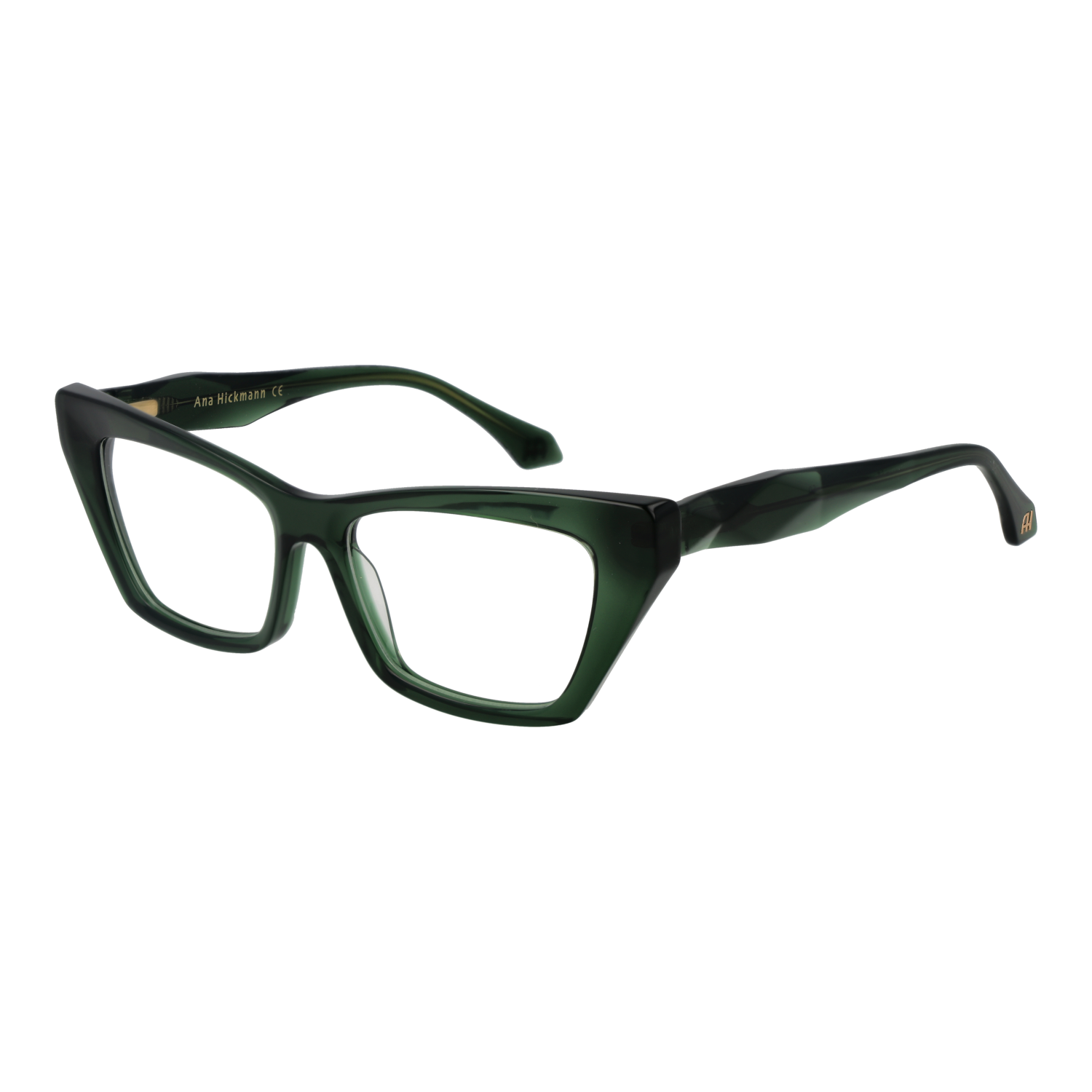 Ana Hickmann Optical Frame AH6526 T01 53