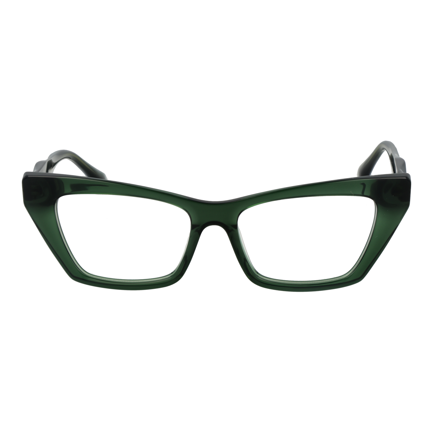 Ana Hickmann Optical Frame AH6526 T01 53