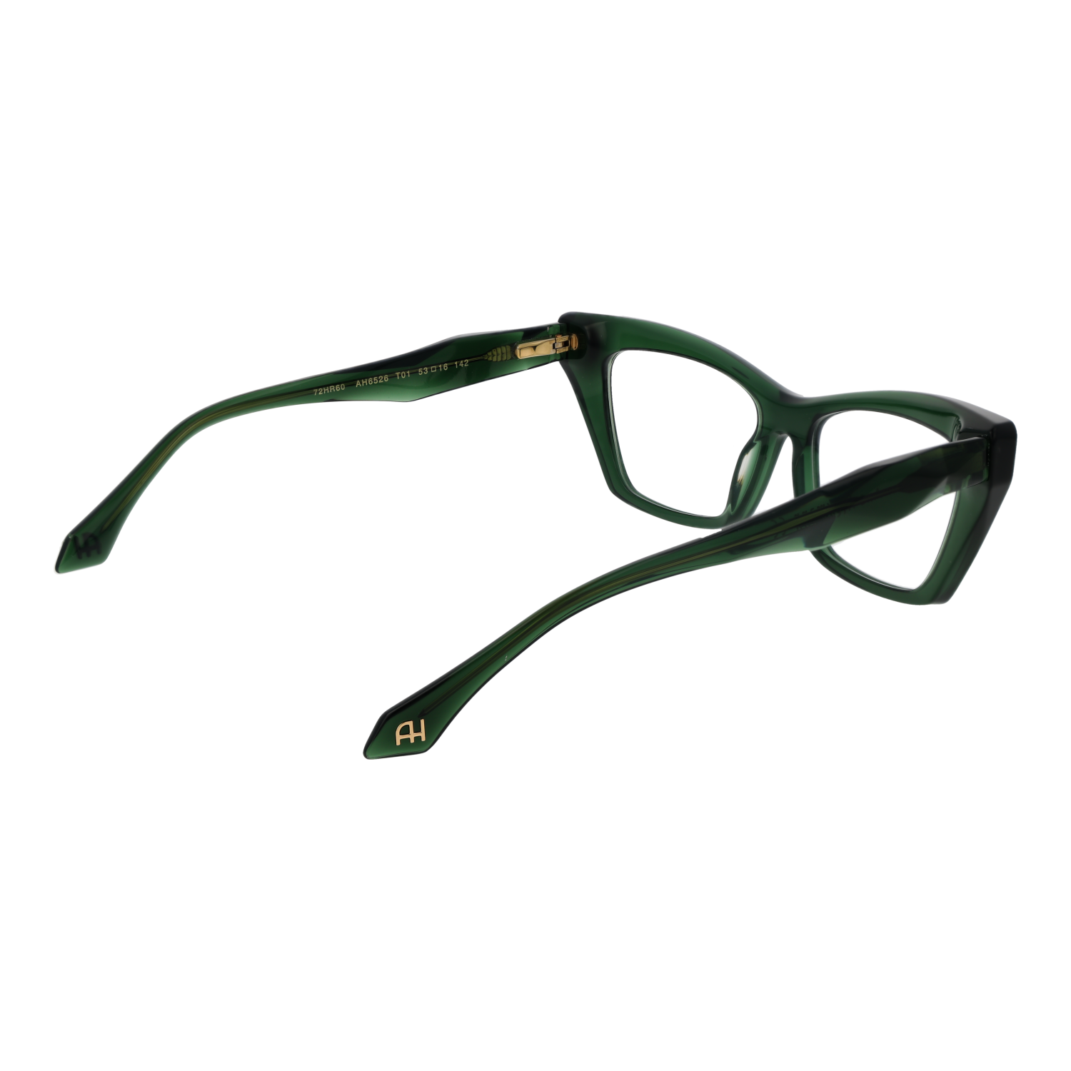 Ana Hickmann Optical Frame AH6526 T01 53
