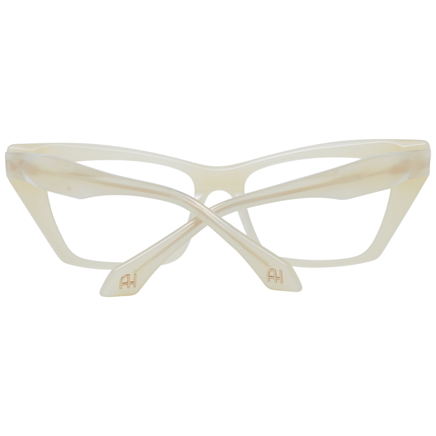 Ana Hickmann Optical Frame AH6526 D01 53