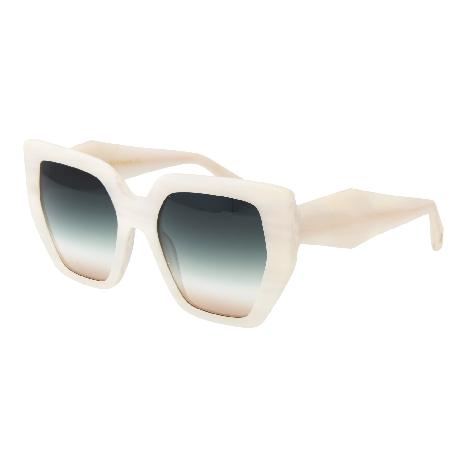 Ana Hickmann Sunglasses AH9387 E01 55