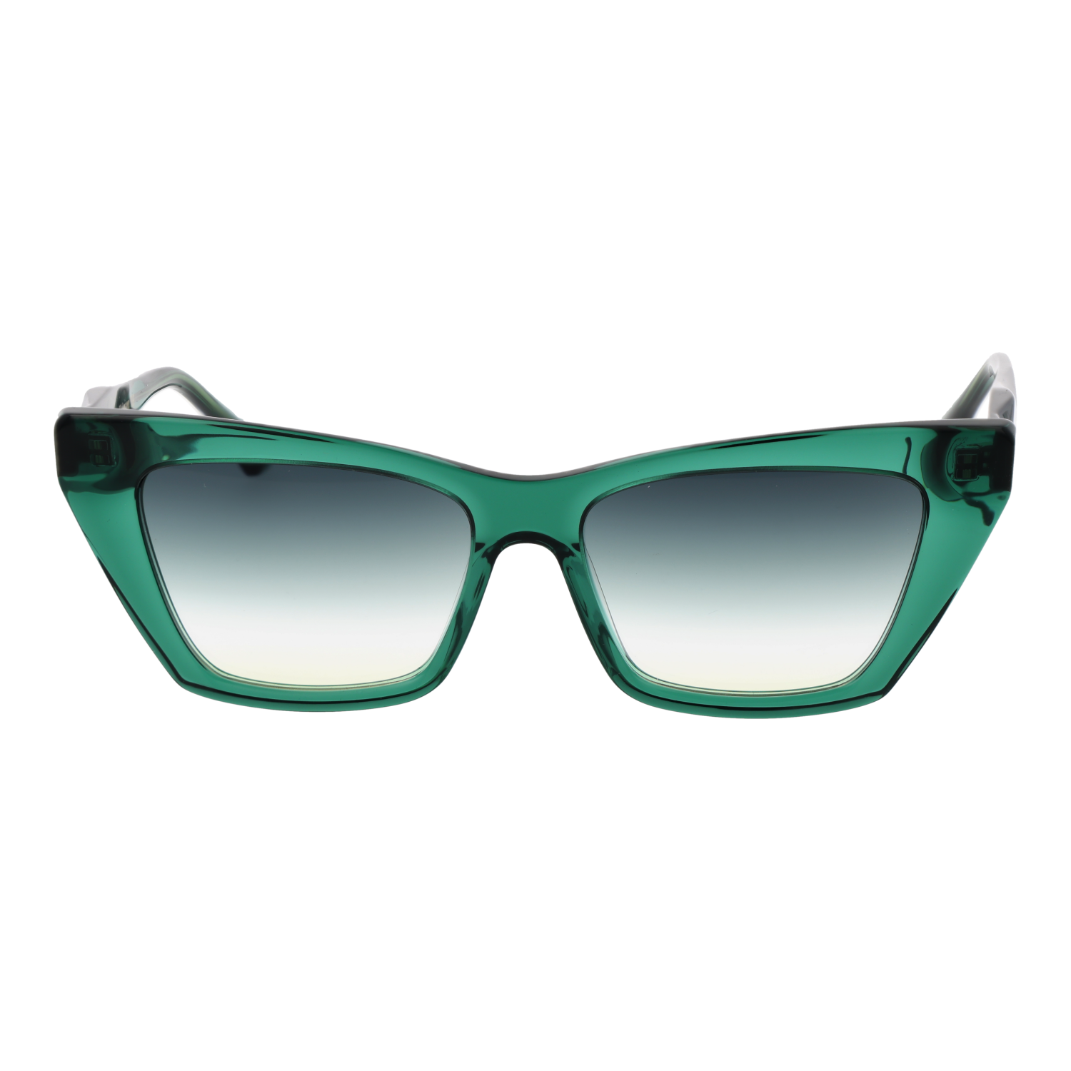 Ana Hickmann Sunglasses AH9390 T01 54