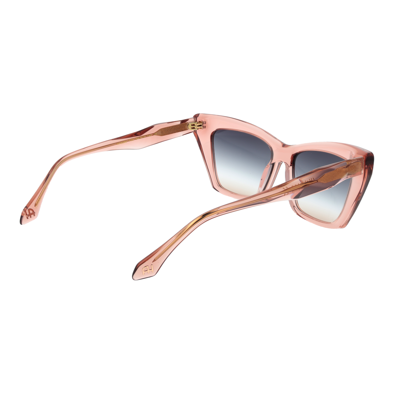 Ana Hickmann Sunglasses AH9390 T02 54
