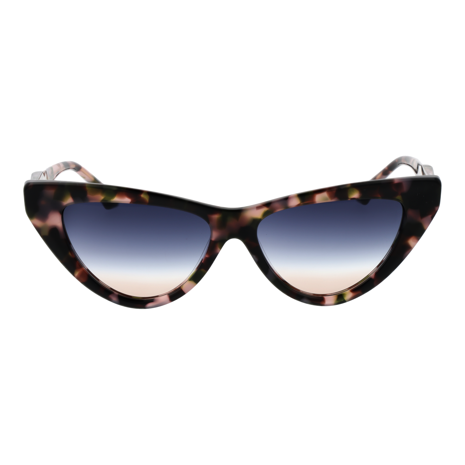 Ana Hickmann Sunglasses AH9391 G21 56