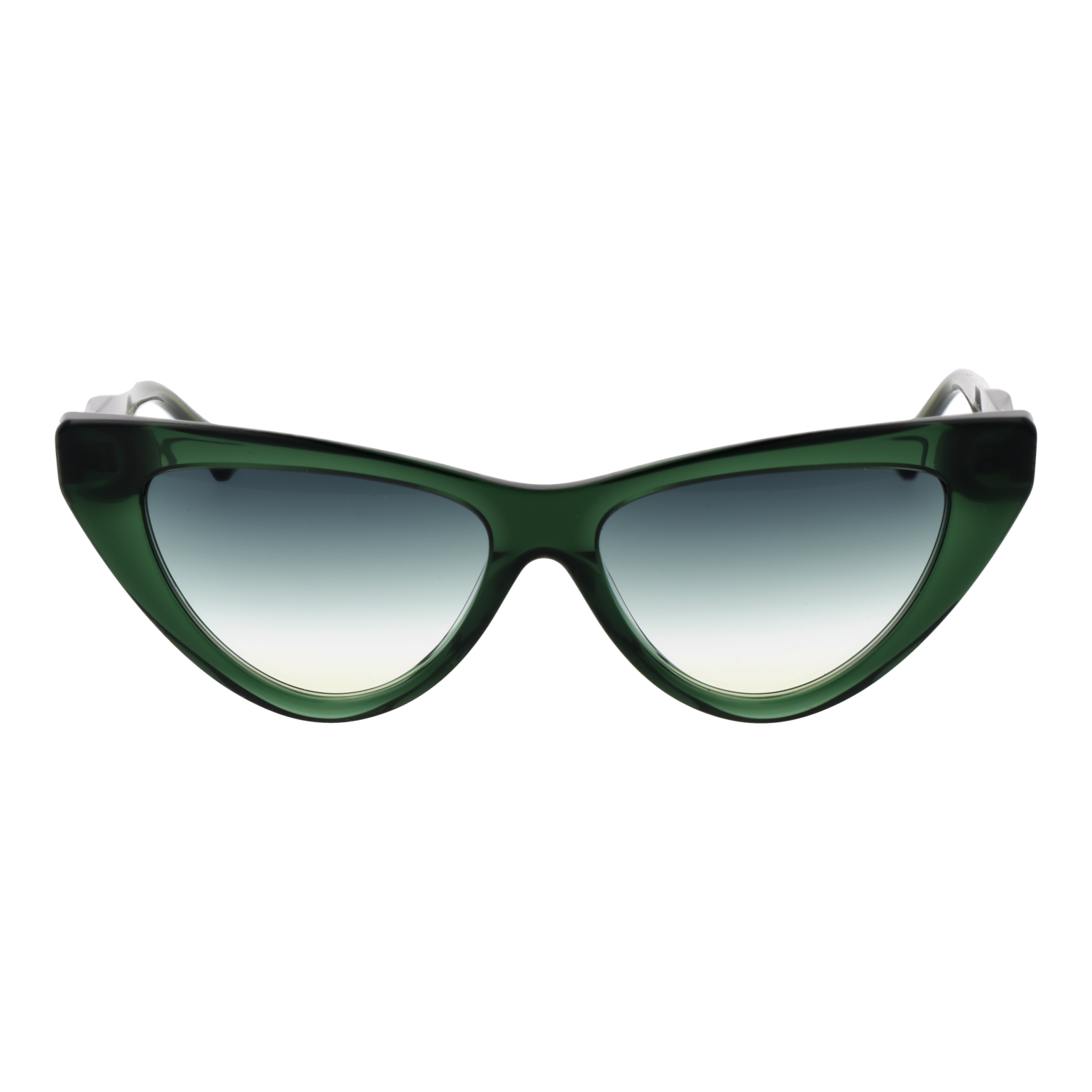 Ana Hickmann Sunglasses AH9391 T01 56