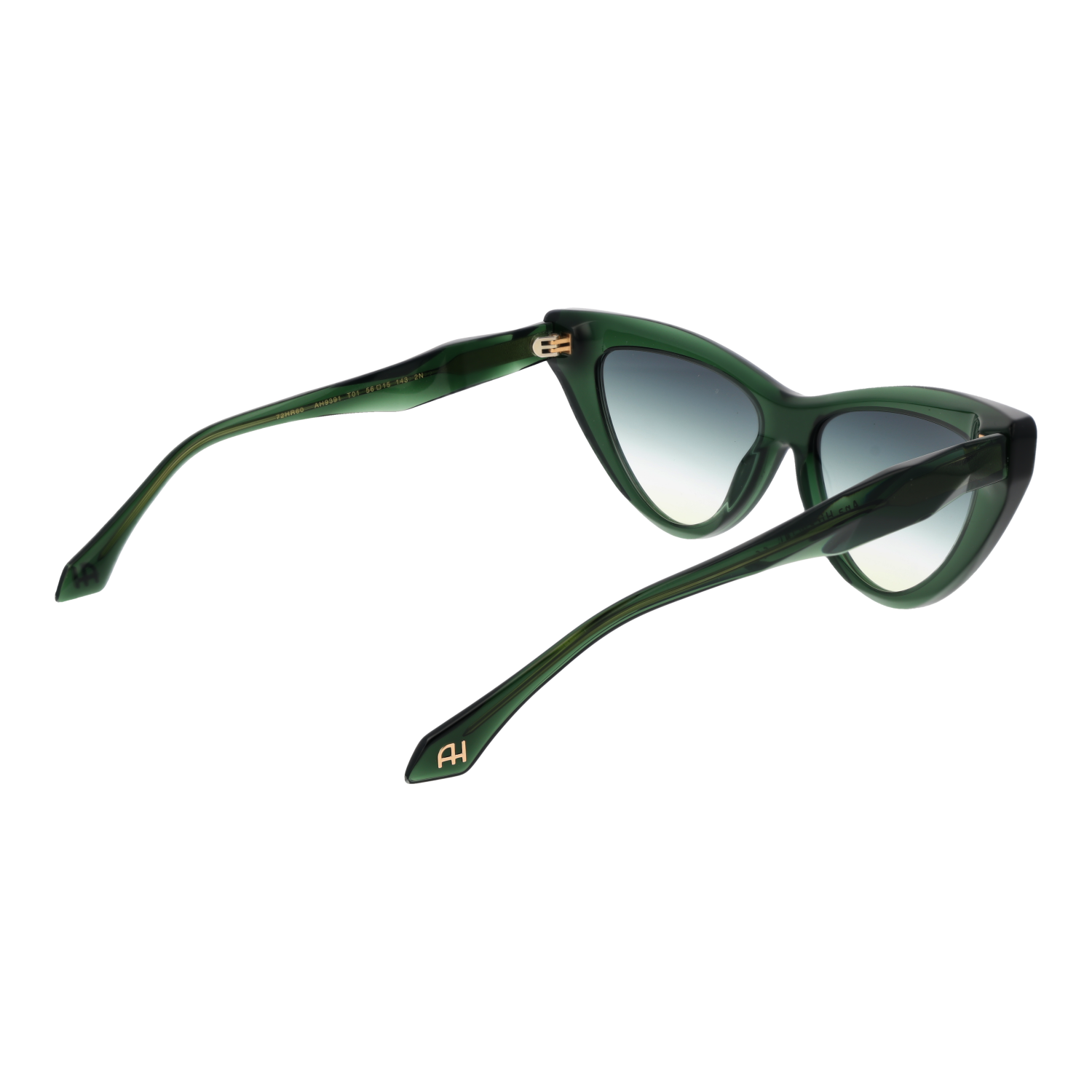 Ana Hickmann Sunglasses AH9391 T01 56