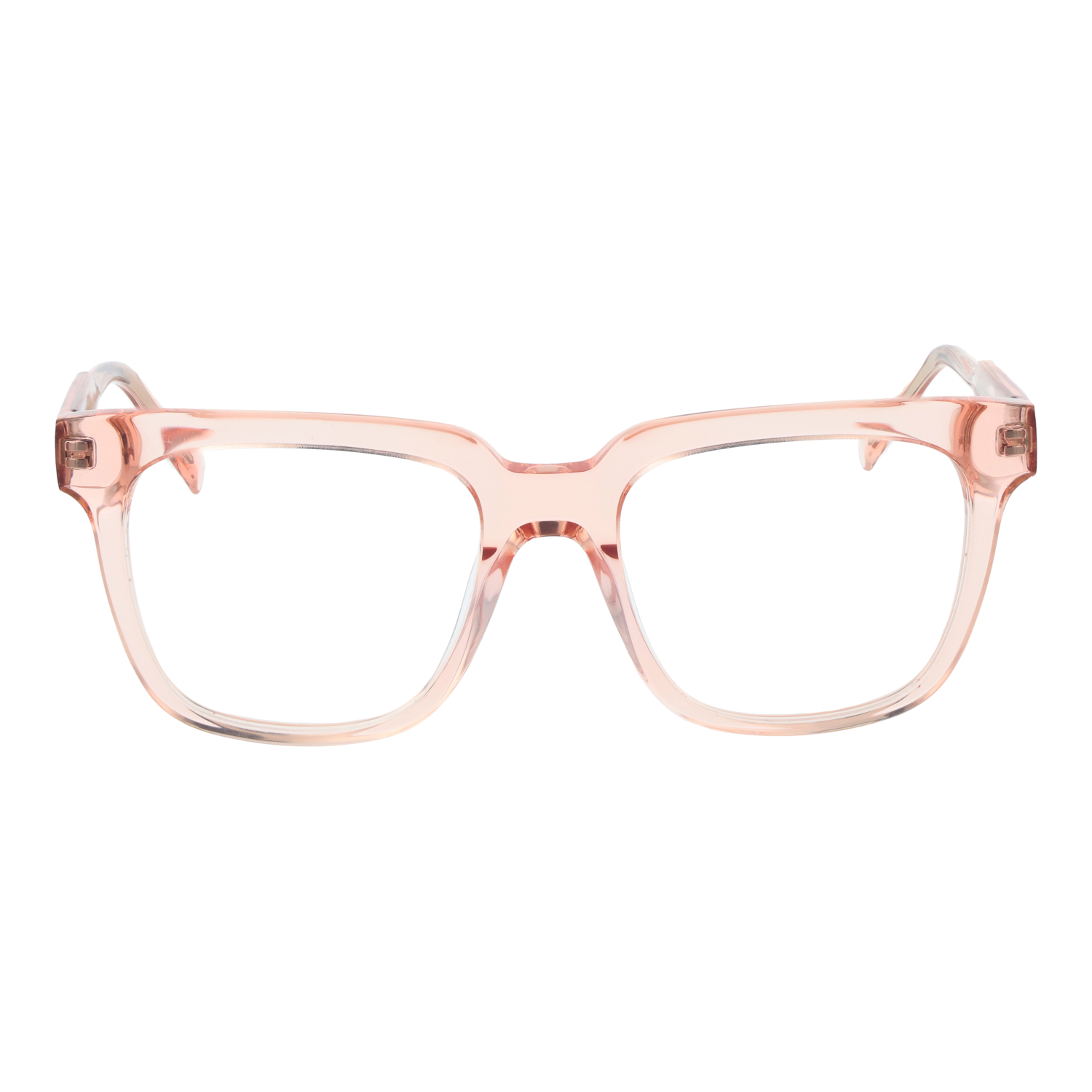 Ana Hickmann Optical Frame HI6286 T02 54