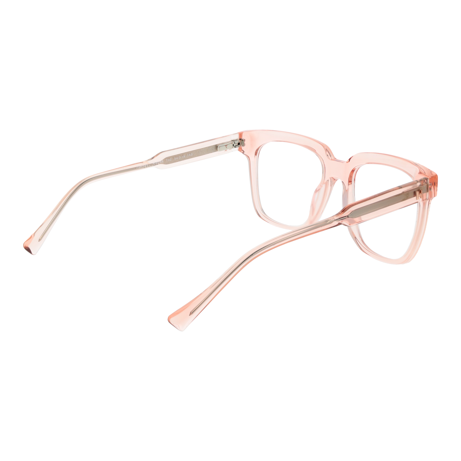 Ana Hickmann Optical Frame HI6286 T02 54