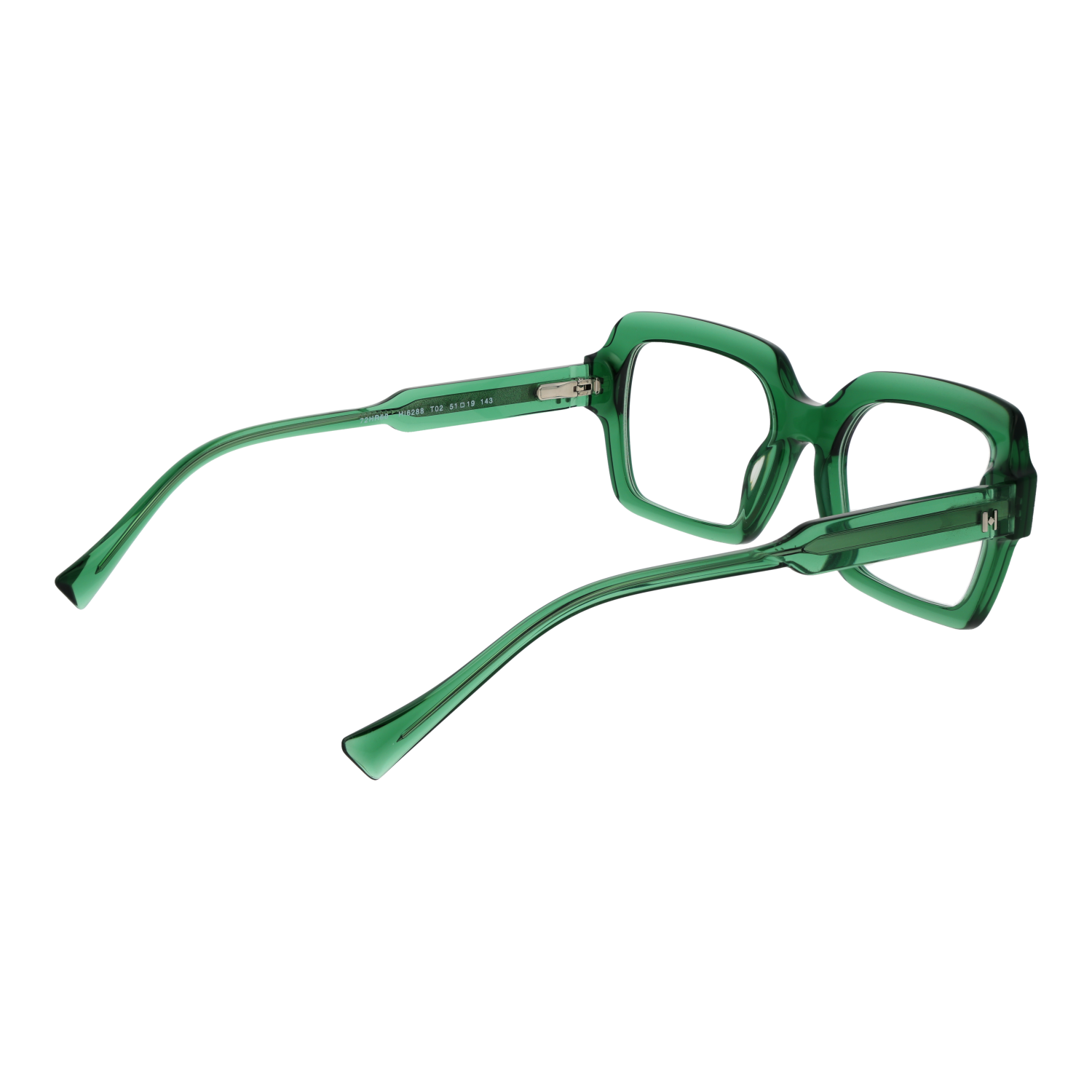 Ana Hickmann monture optique HI6288 T02 51