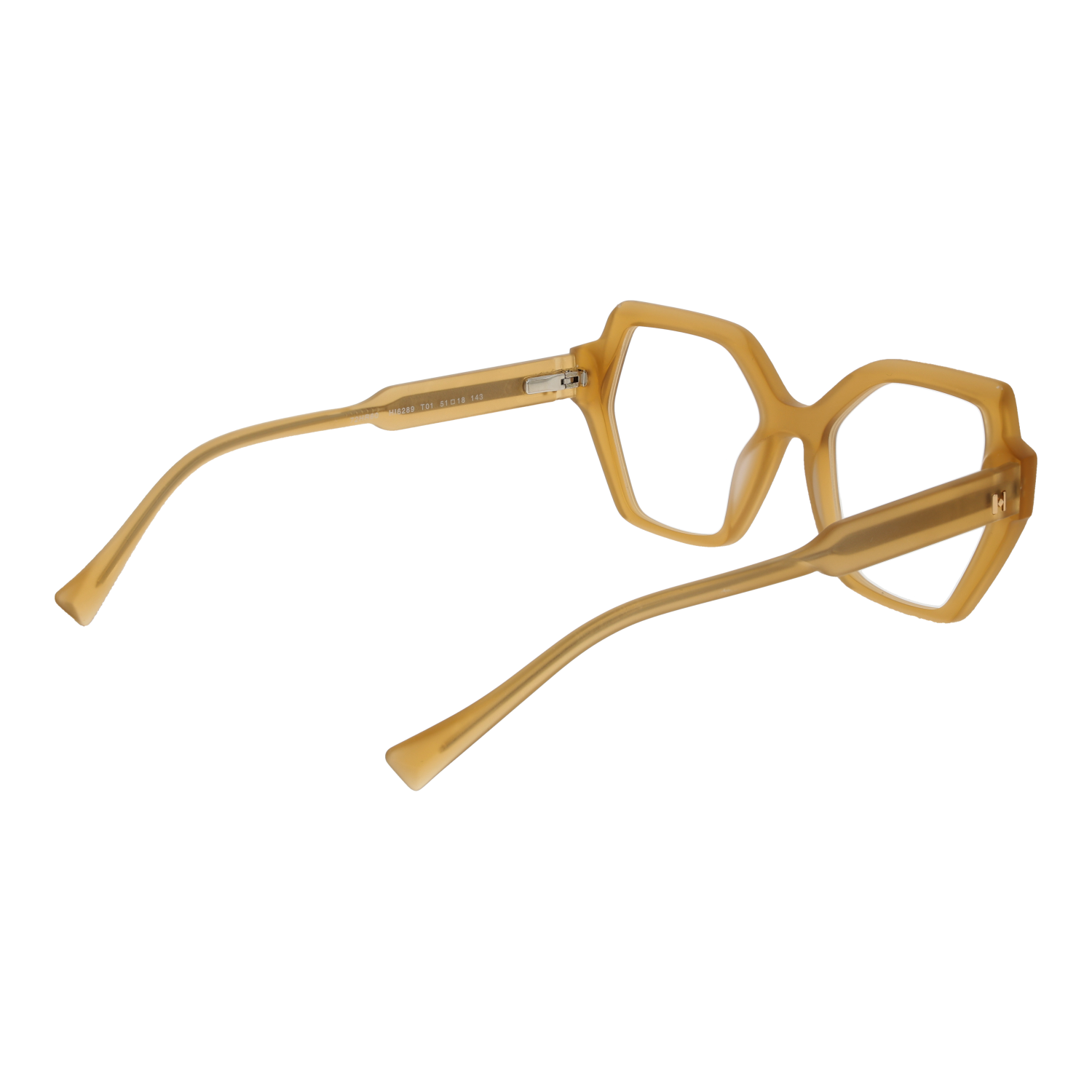 Ana Hickmann Optical Frame HI6289 T01 52