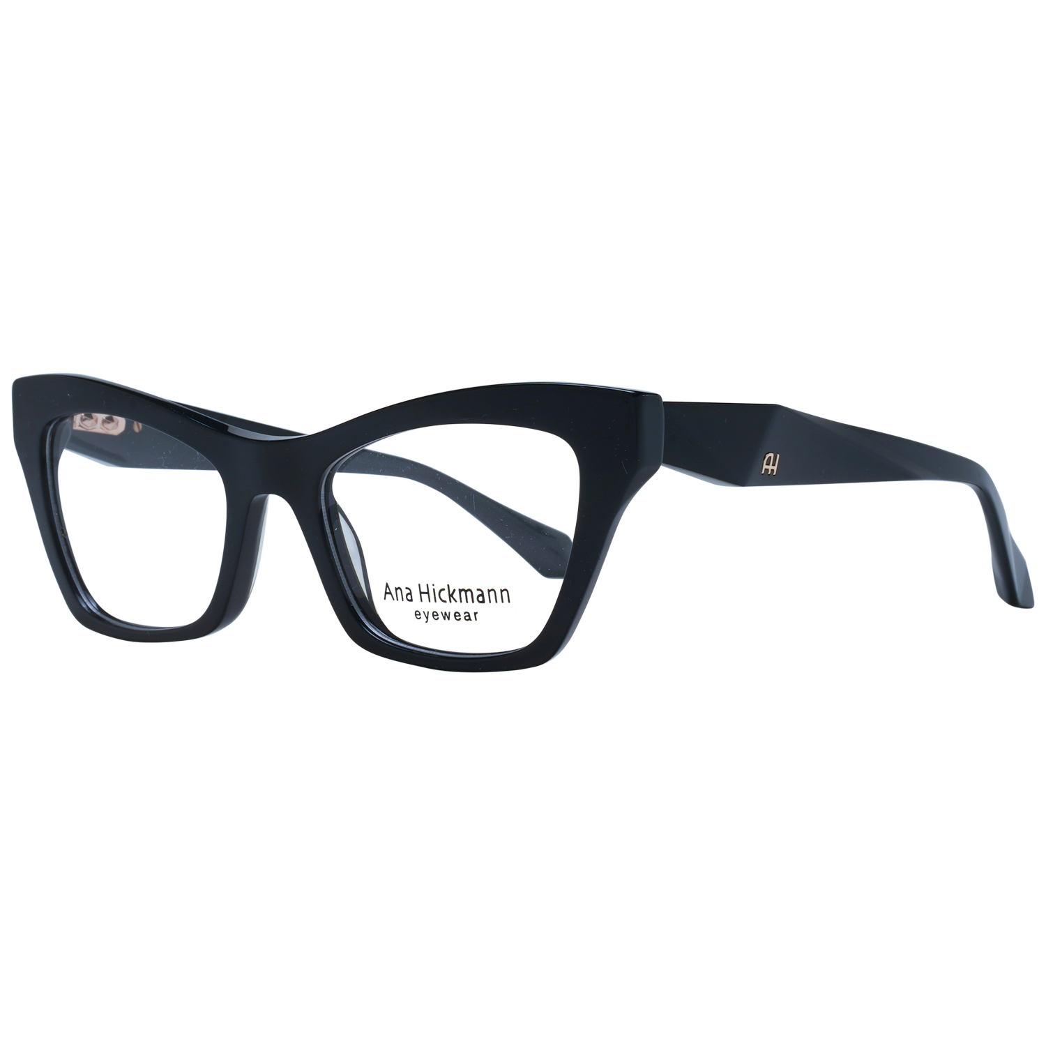 Ana Hickmann Optical Frame AH6529 A01 51