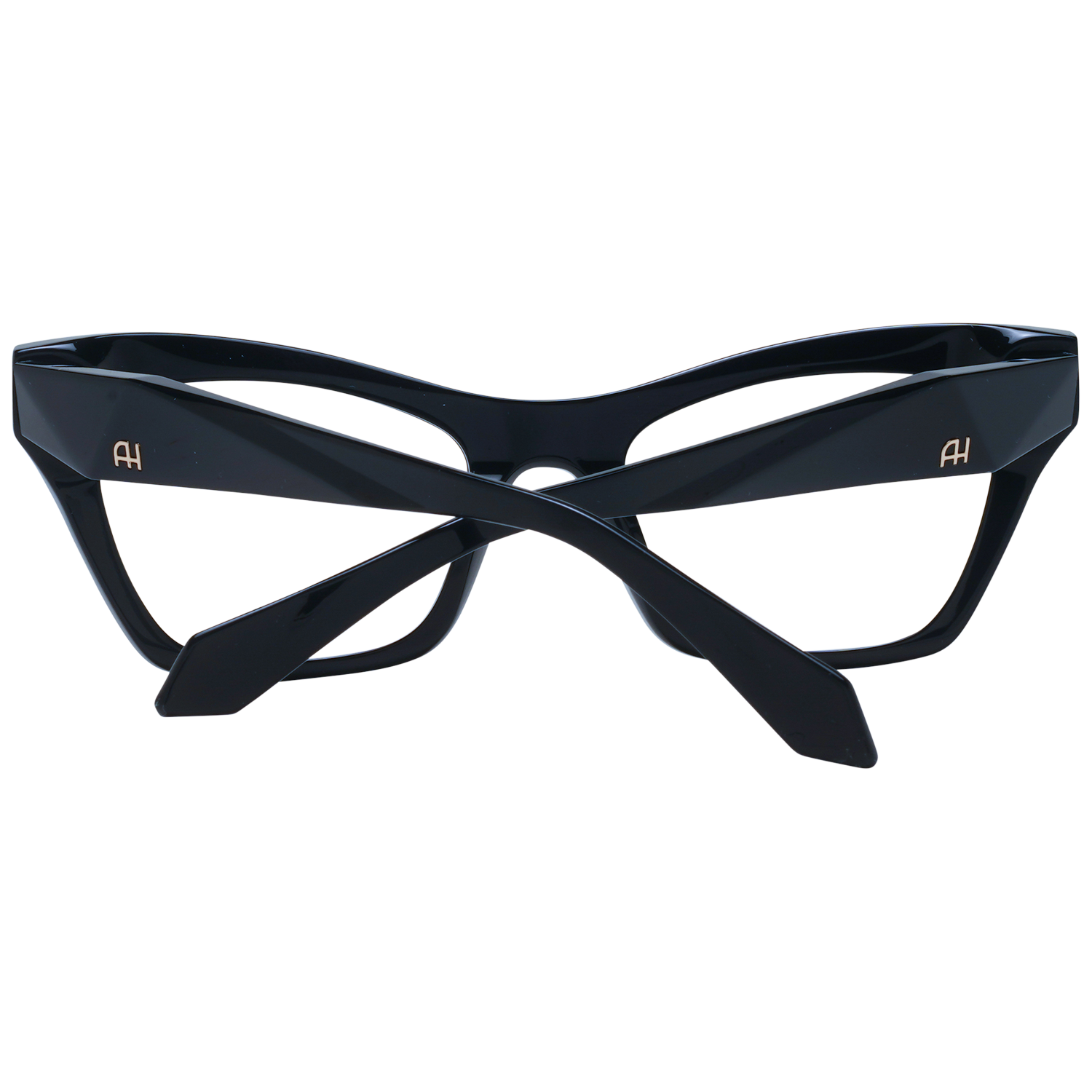 Ana Hickmann Optical Frame AH6529 A01 51