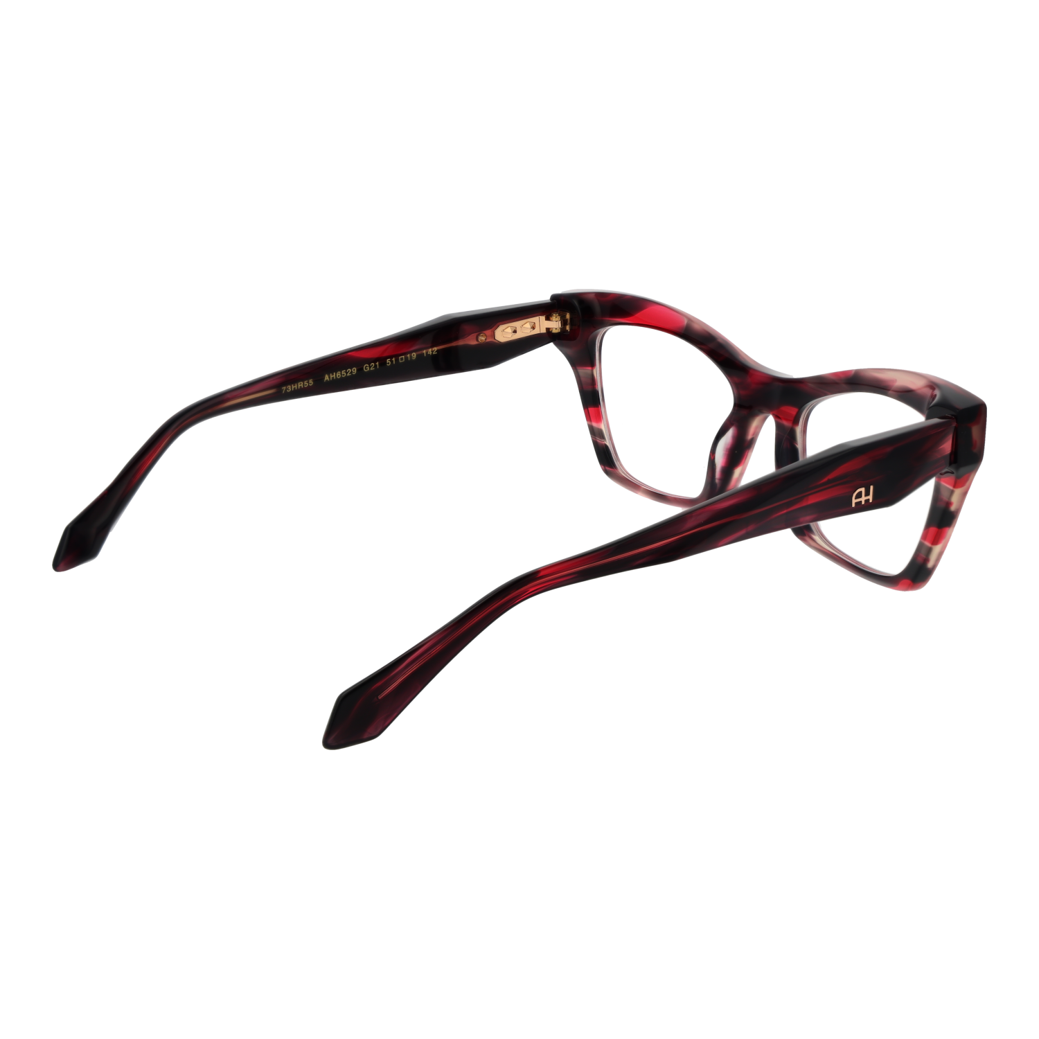 Ana Hickmann Optical Frame AH6529 G21 51