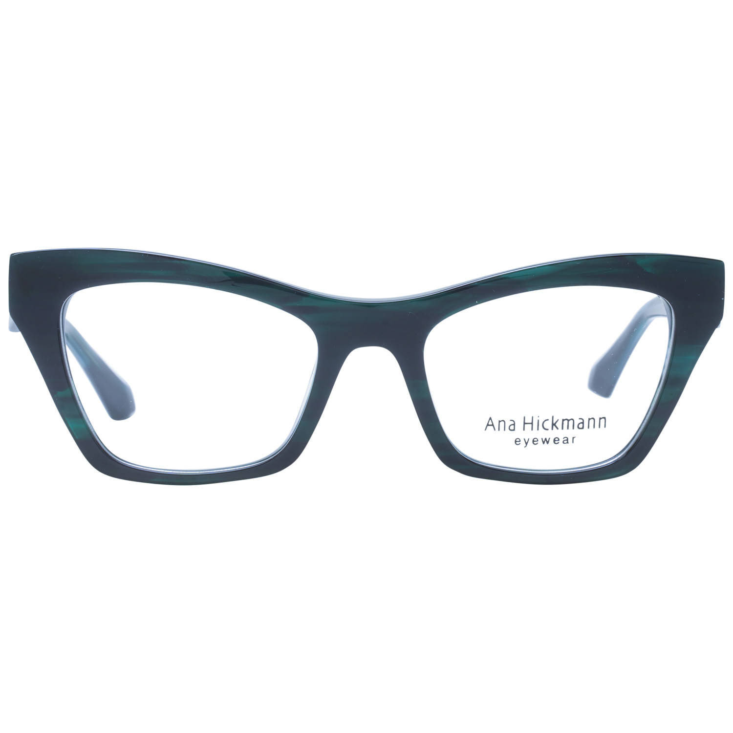 Ana Hickmann Optical Frame AH6529 H01 51