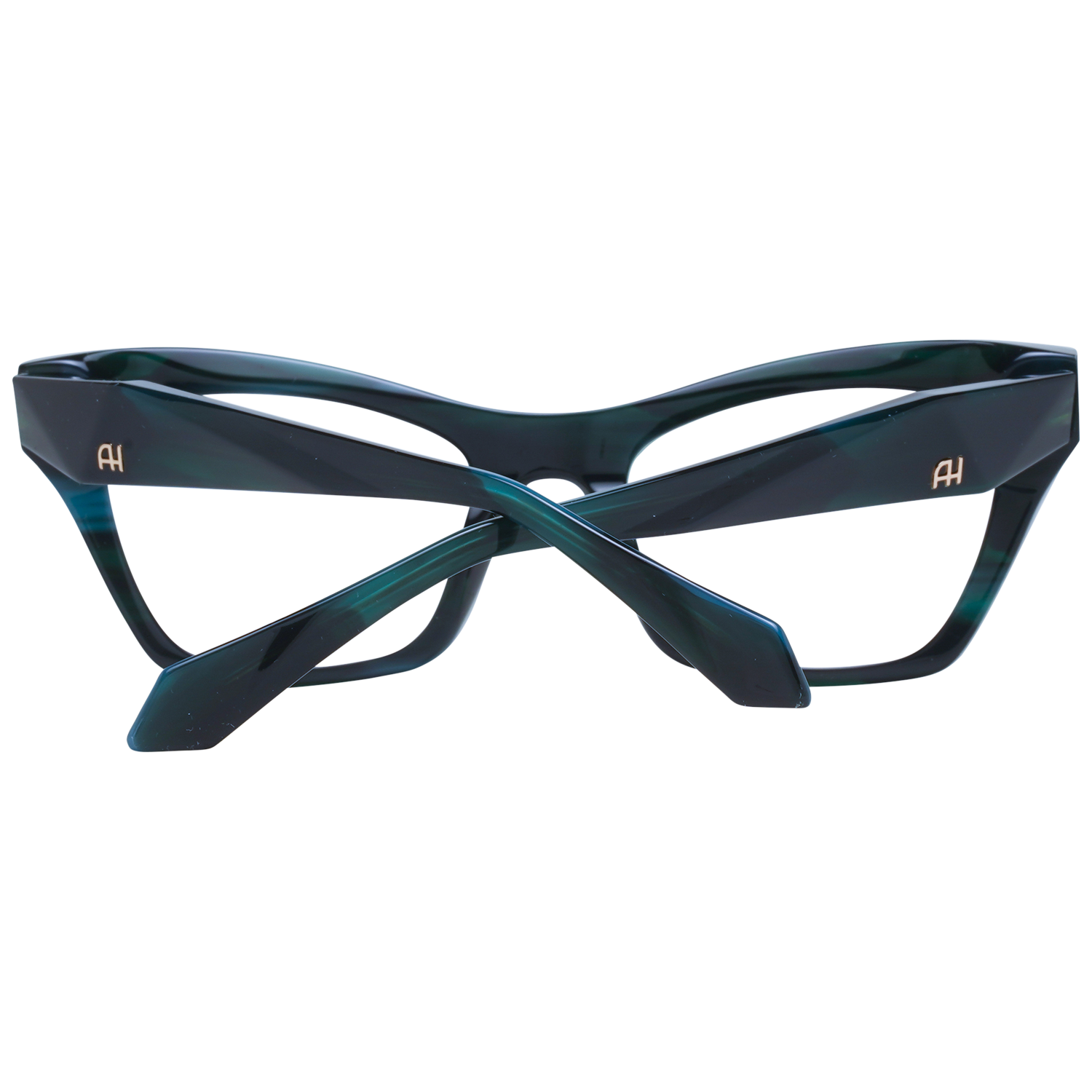 Ana Hickmann Optical Frame AH6529 H01 51