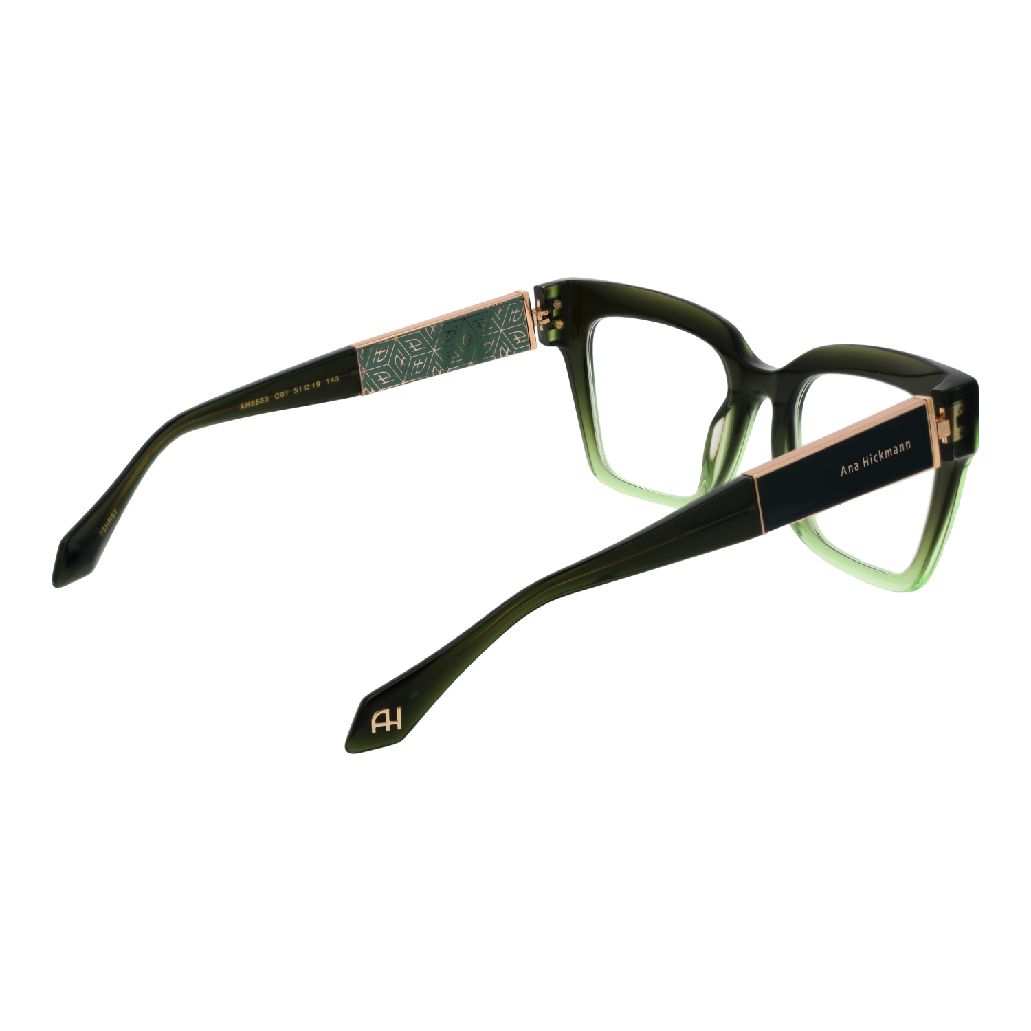 Ana Hickmann Optical Frame AH6533 C01 51