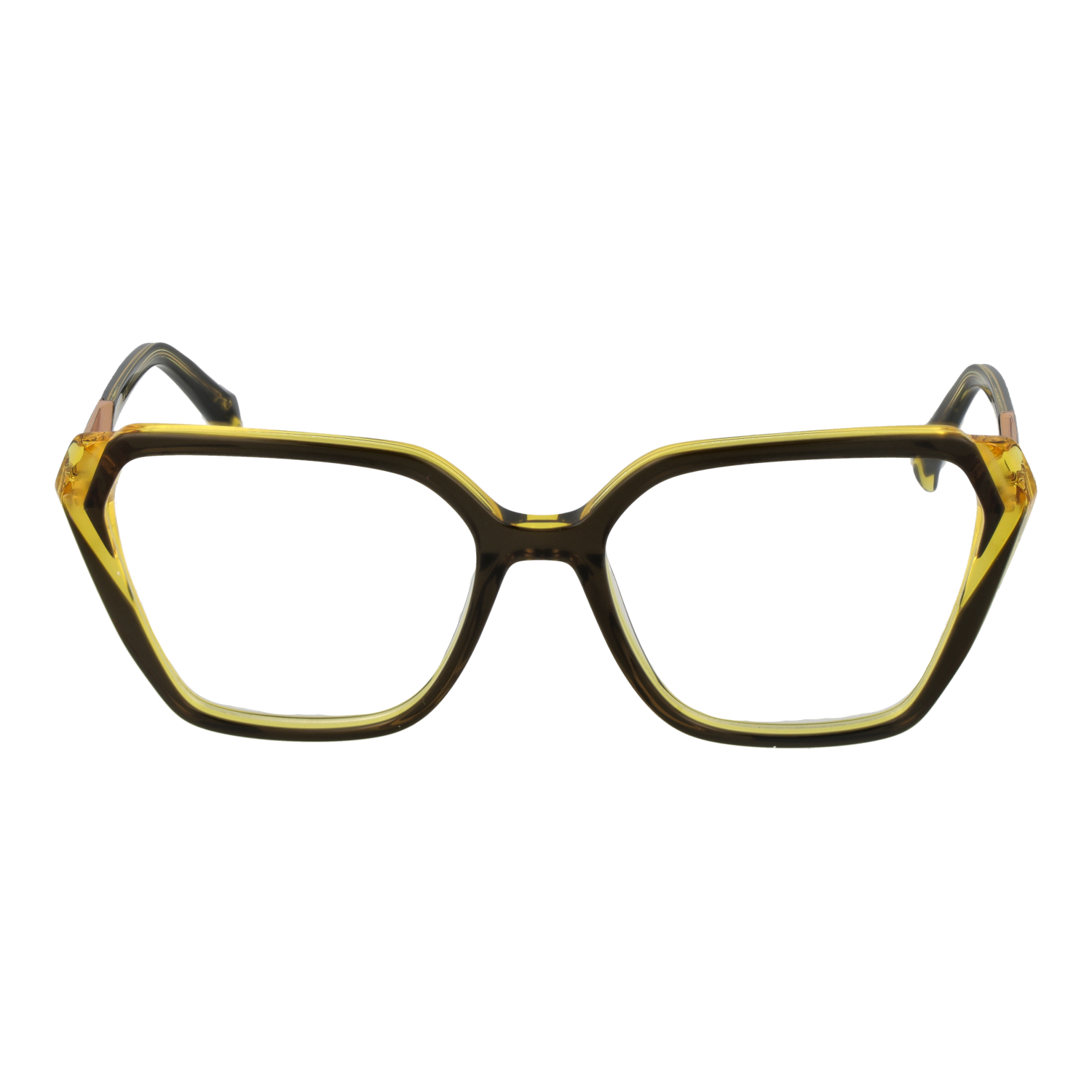 Ana Hickmann monture optique AH6538 H01 54