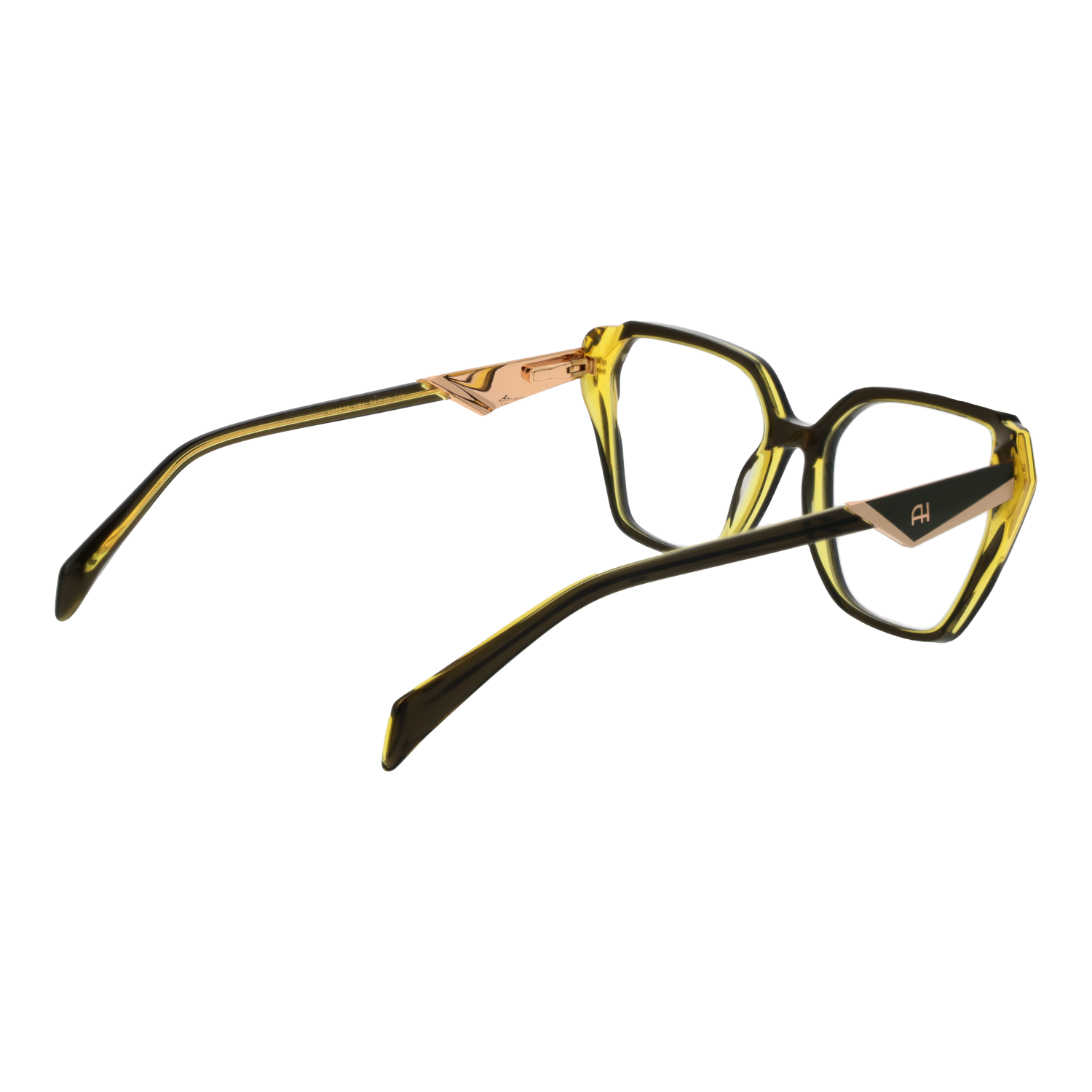 Ana Hickmann Optical Frame AH6538 H01 54