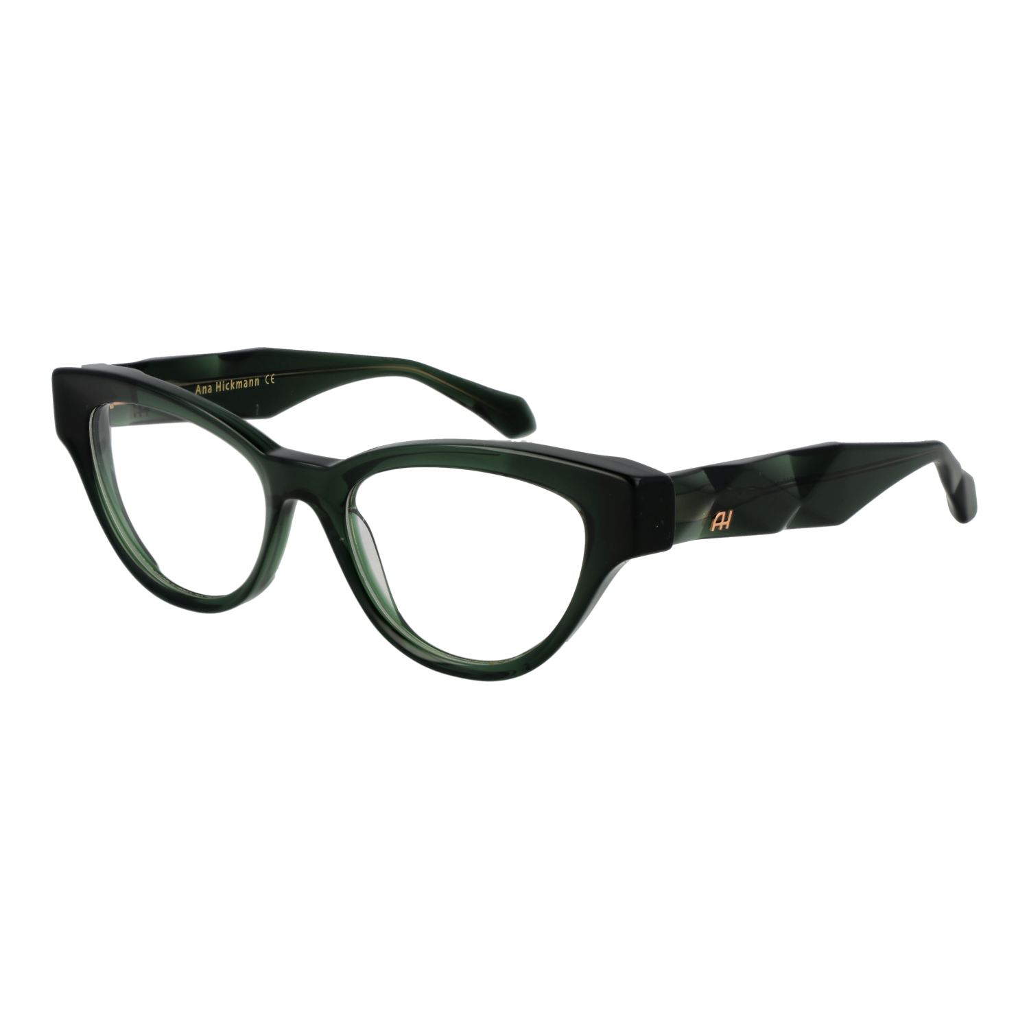 Ana Hickmann Optical Frame AH6542 T01 50