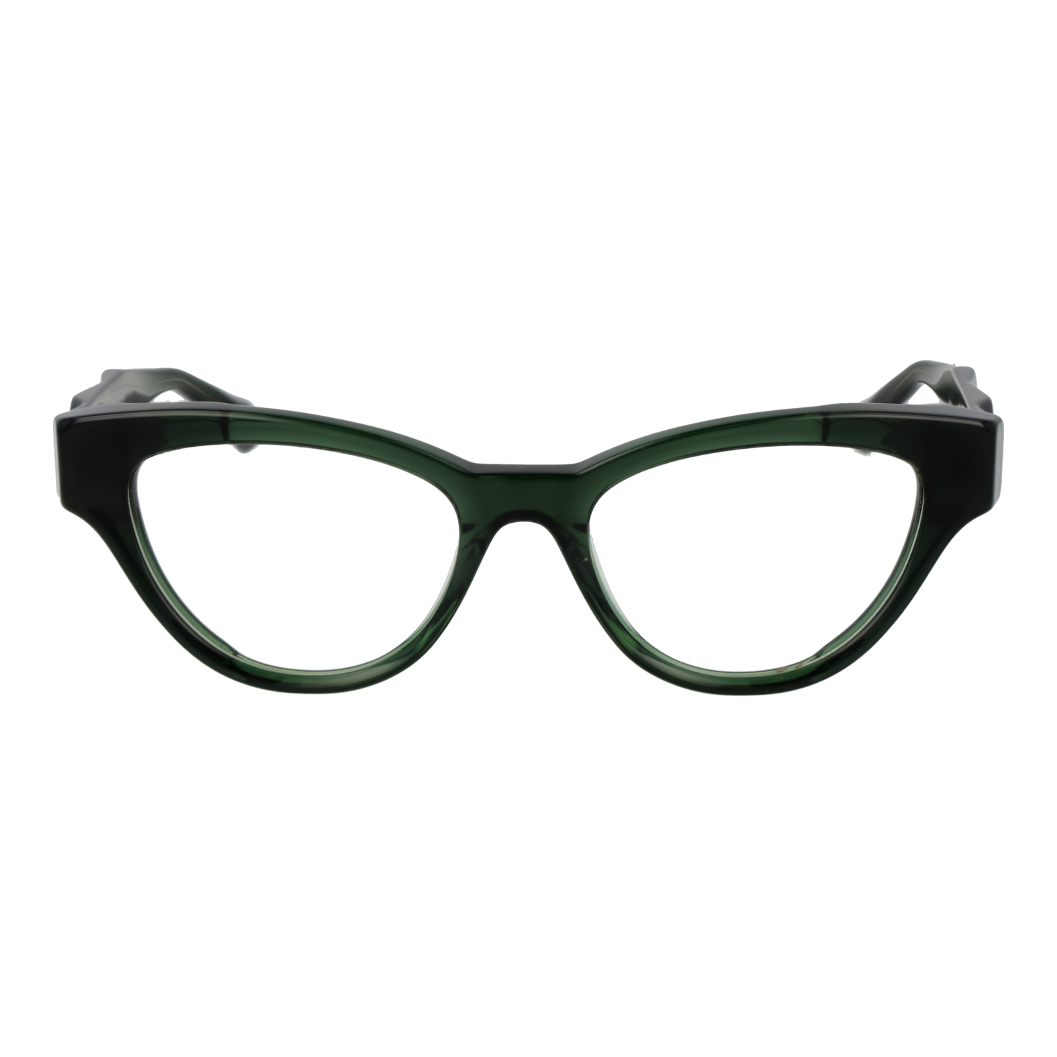 Ana Hickmann Optical Frame AH6542 T01 50