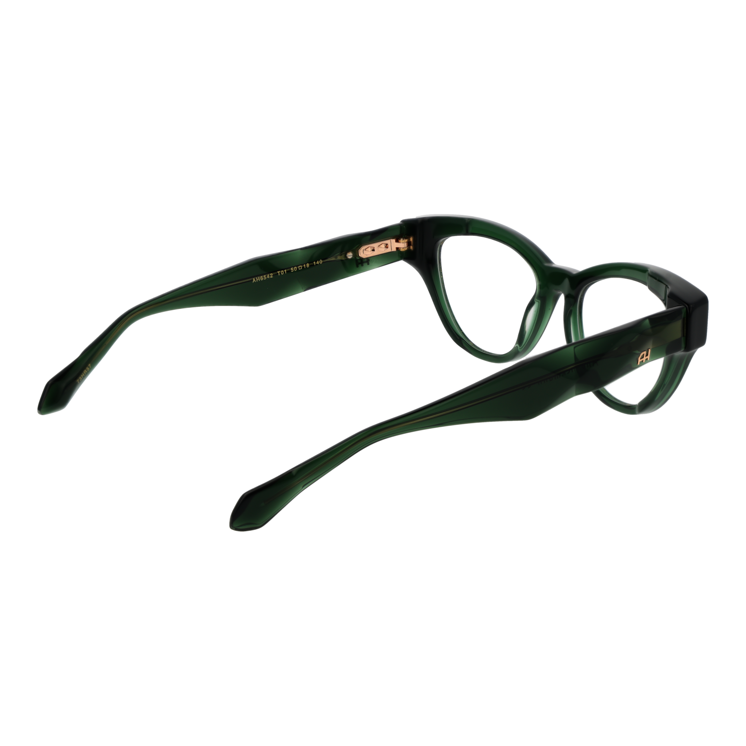 Ana Hickmann monture optique AH6542 T01 50