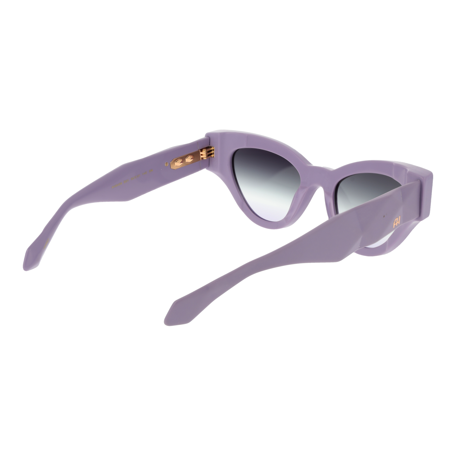 Ana Hickmann Sunglasses AH9409 D01 52