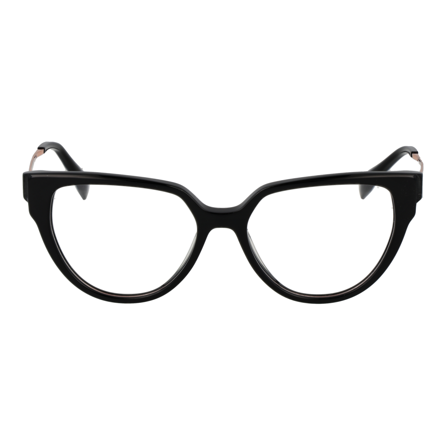 Ana Hickmann Optical Frame HI6290T A01 51 Titanium