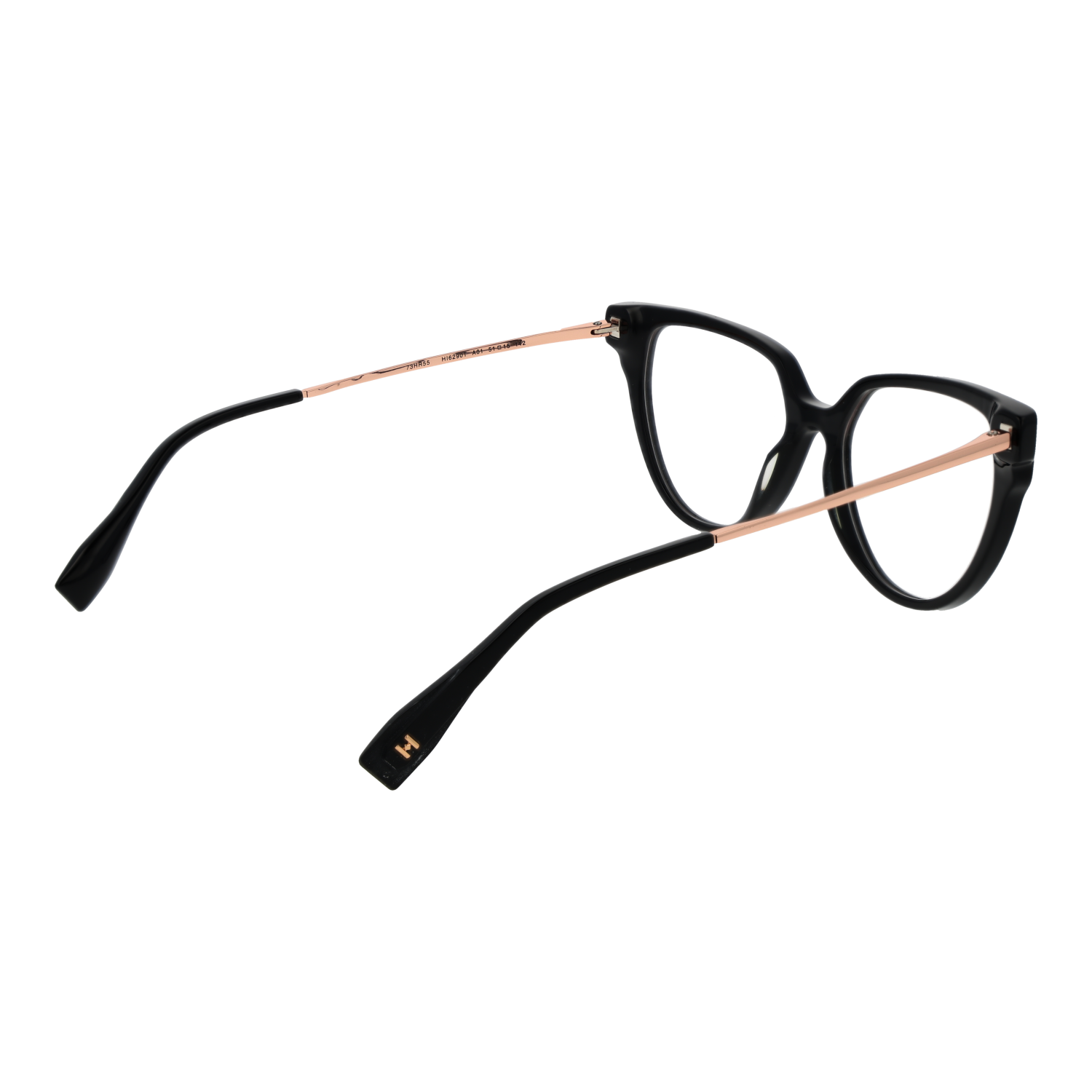 Ana Hickmann Optical Frame HI6290T A01 51 Titanium
