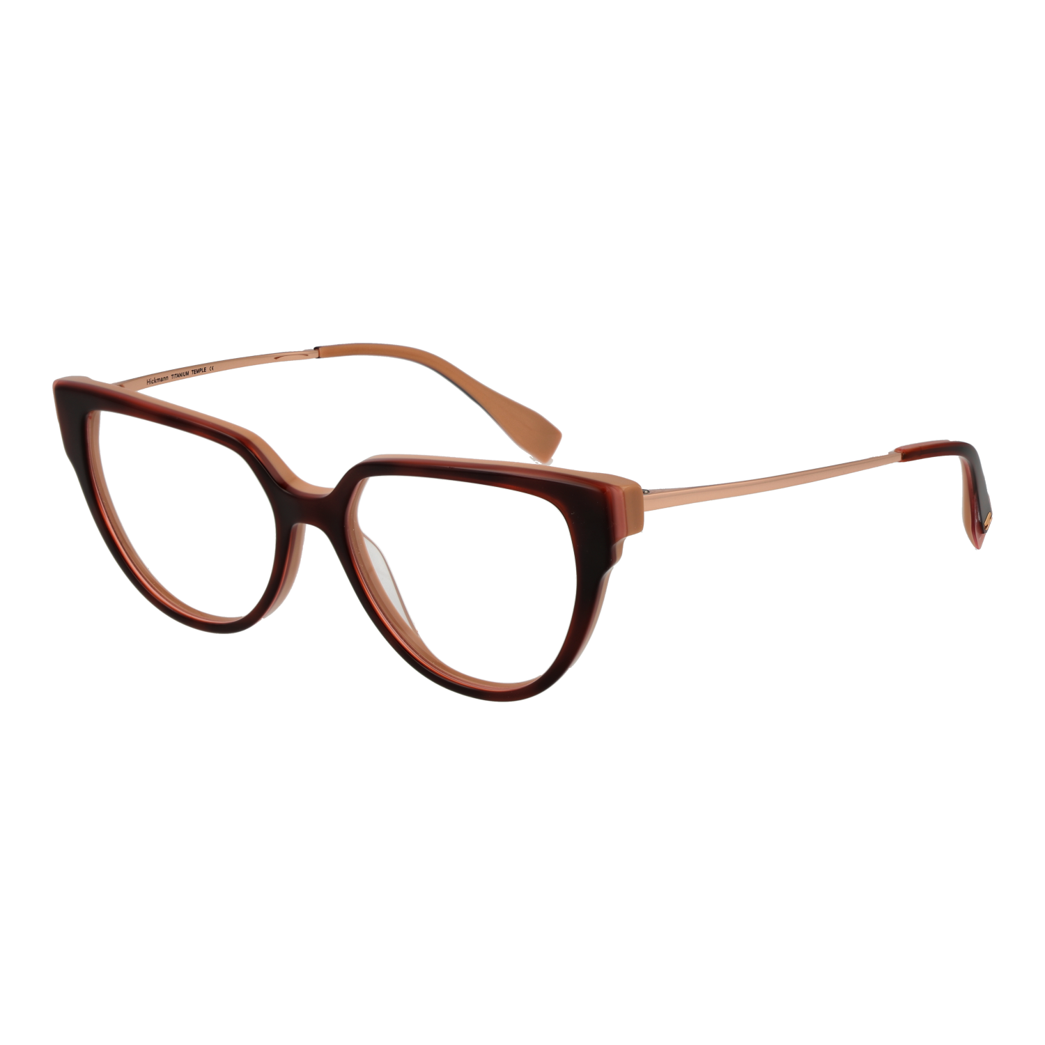 Ana Hickmann Optical Frame HI6290T G21 51 Titanium
