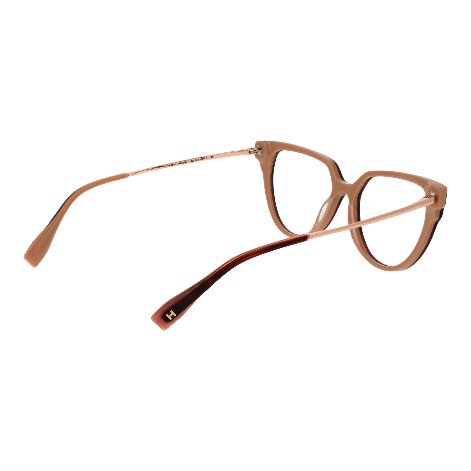 Ana Hickmann Optical Frame HI6290T G21 51 Titanium