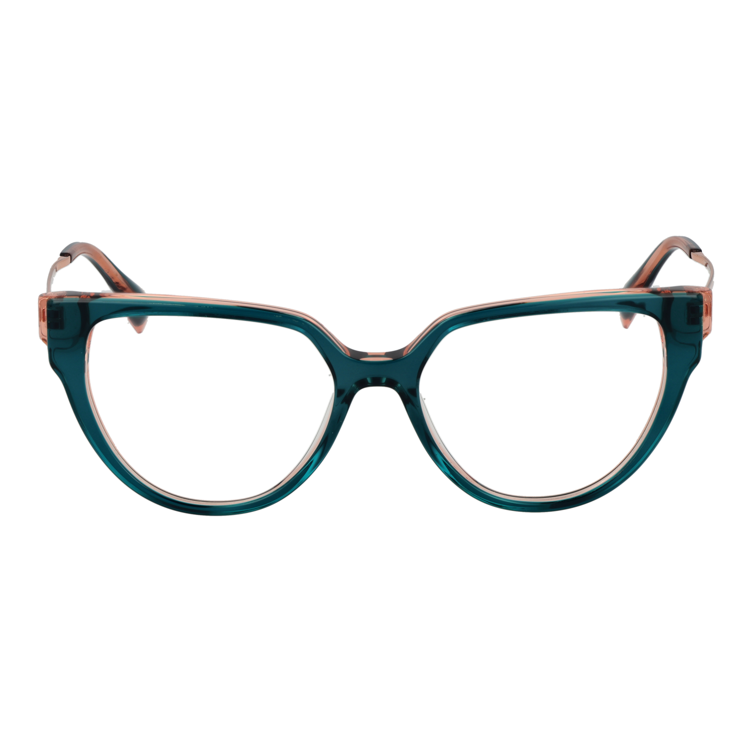 Ana Hickmann Optical Frame HI6290T H01 51 Titanium