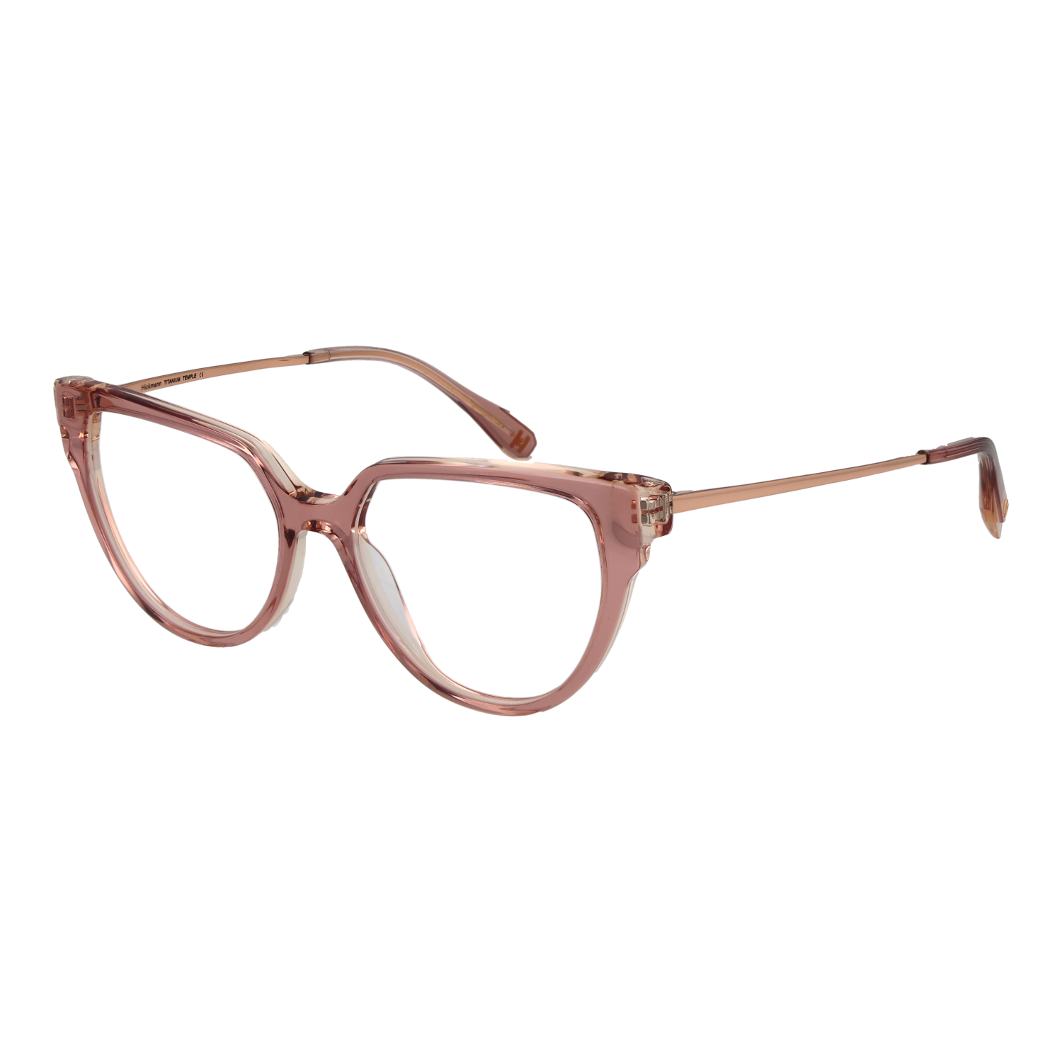 Ana Hickmann Optical Frame HI6290T H02 51 Titanium