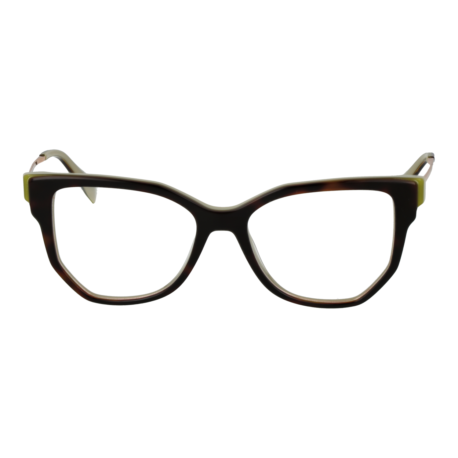 Ana Hickmann Optical Frame HI6292T G21 51 Titanium