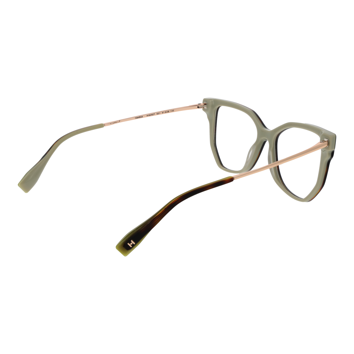 Ana Hickmann Optical Frame HI6292T G21 51 Titanium