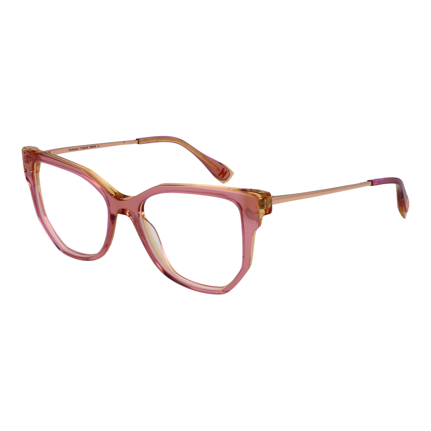 Ana Hickmann Optical Frame HI6292T H02 51 Titanium